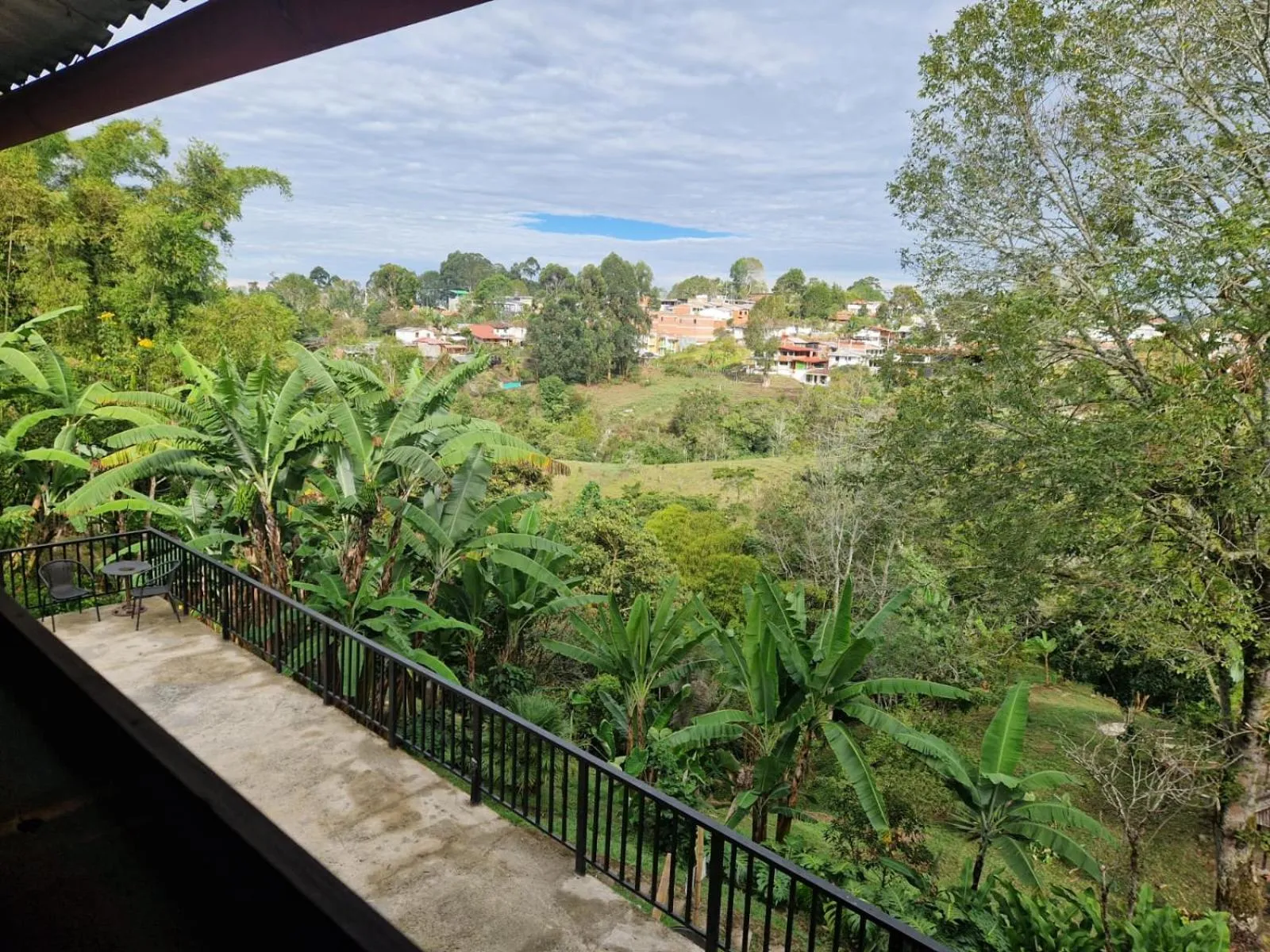 Natural landscape in Coffee Tree Boutique Hostel
