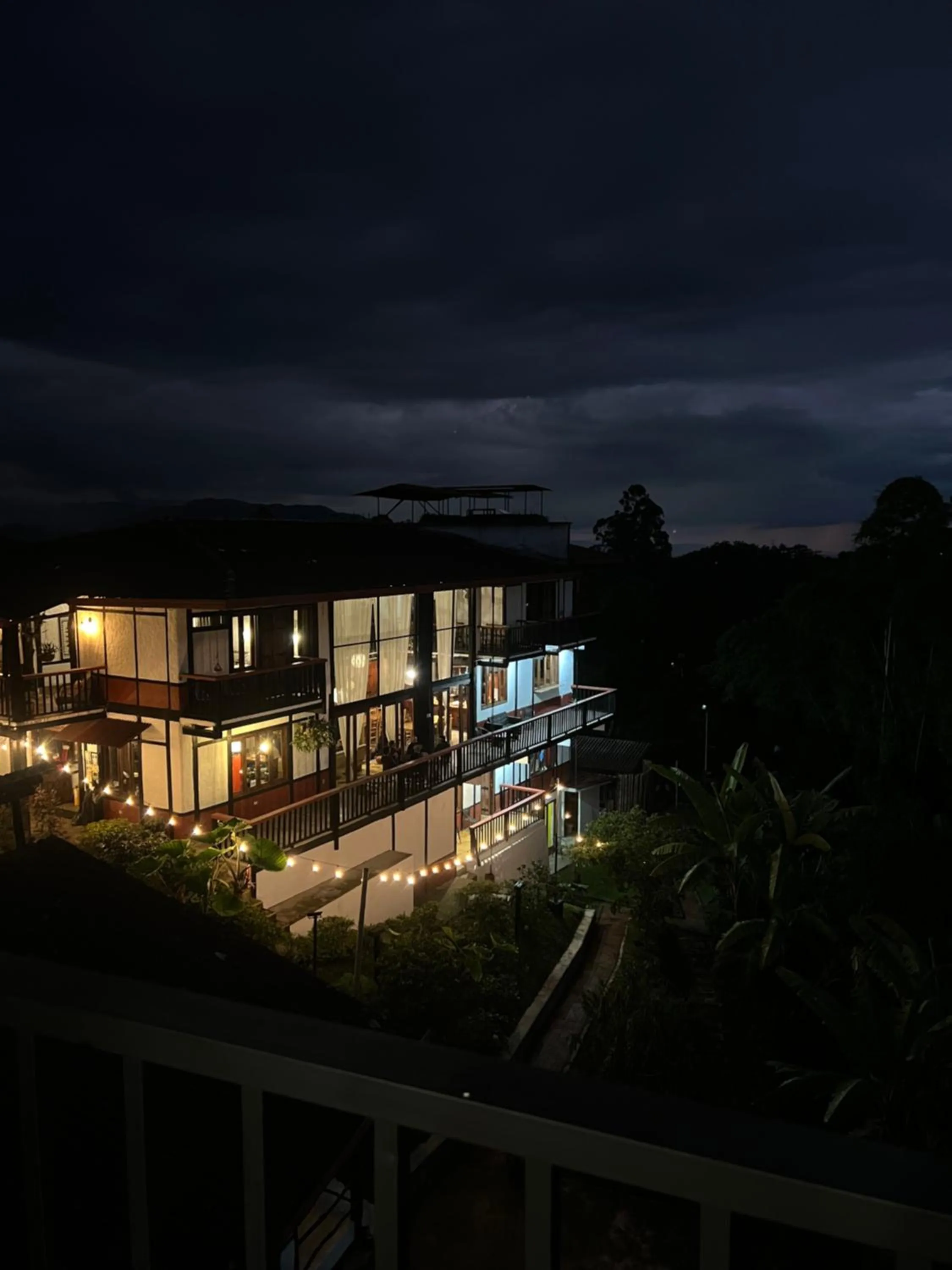 Night in Coffee Tree Boutique Hostel