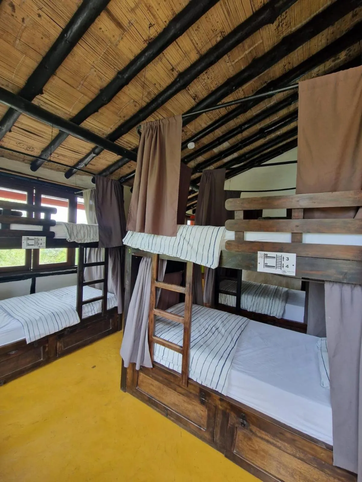 Photo of the whole room, Bed in Coffee Tree Boutique Hostel