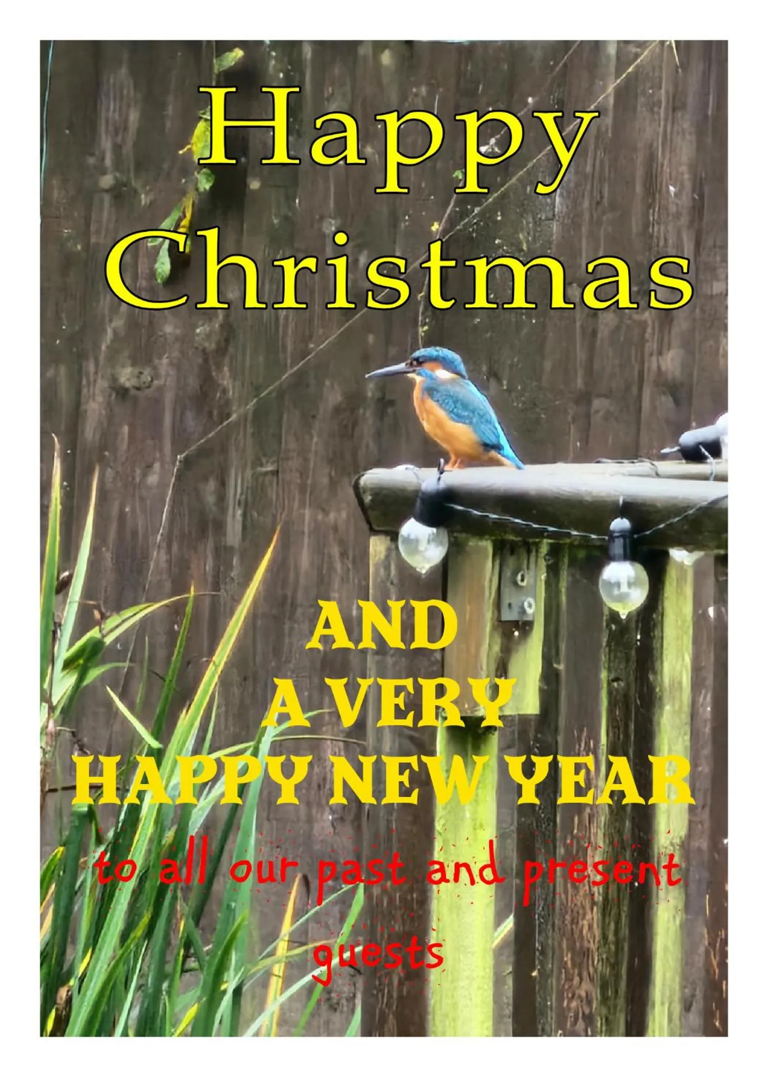 Property building in Woodies