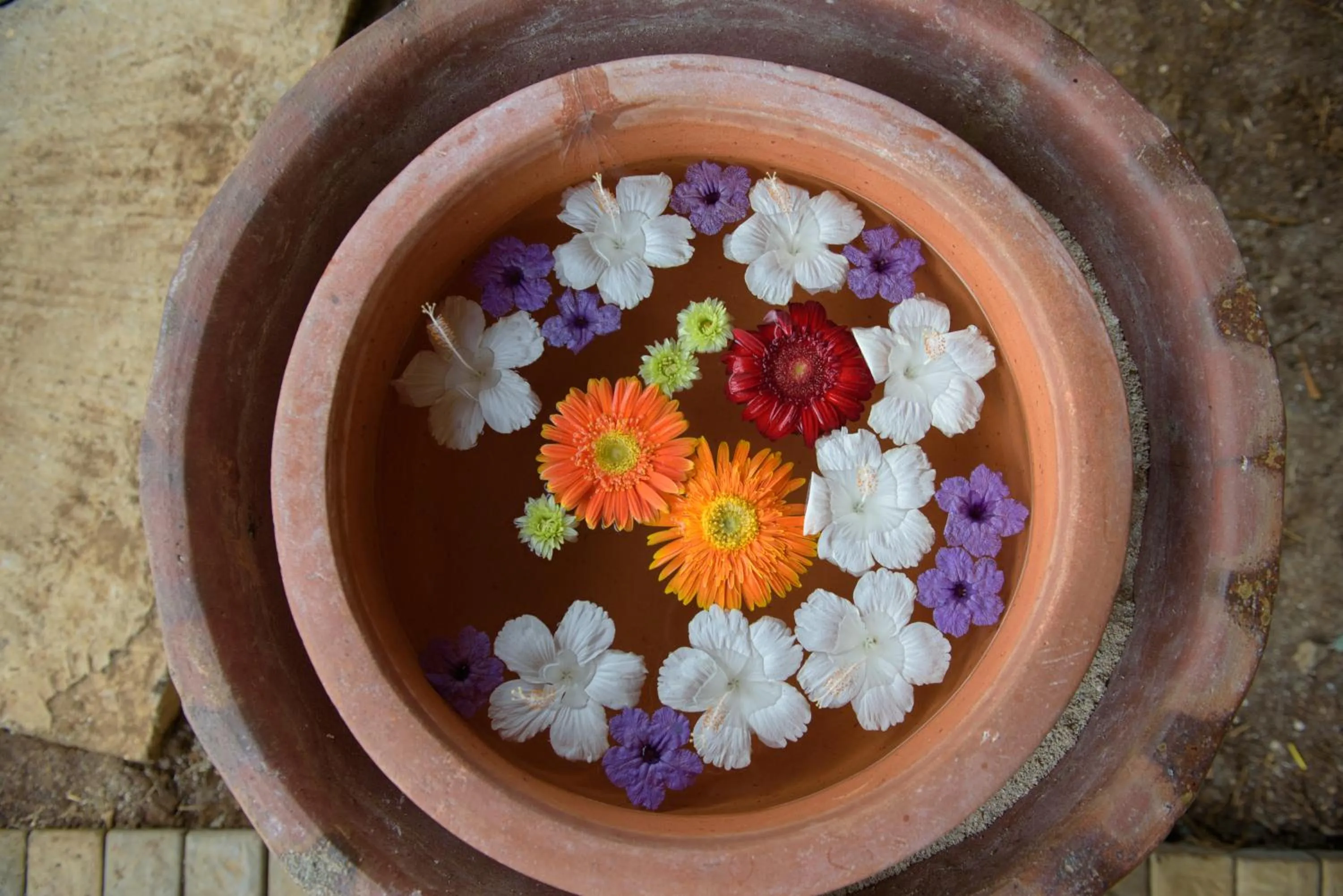 Decorative detail in Anelia Resort & Spa
