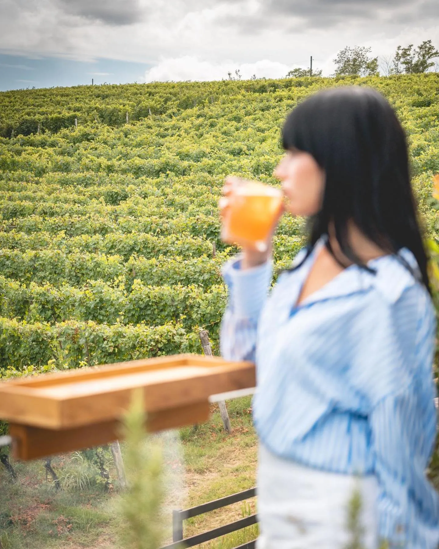 View (from property/room) in Arborina Relais