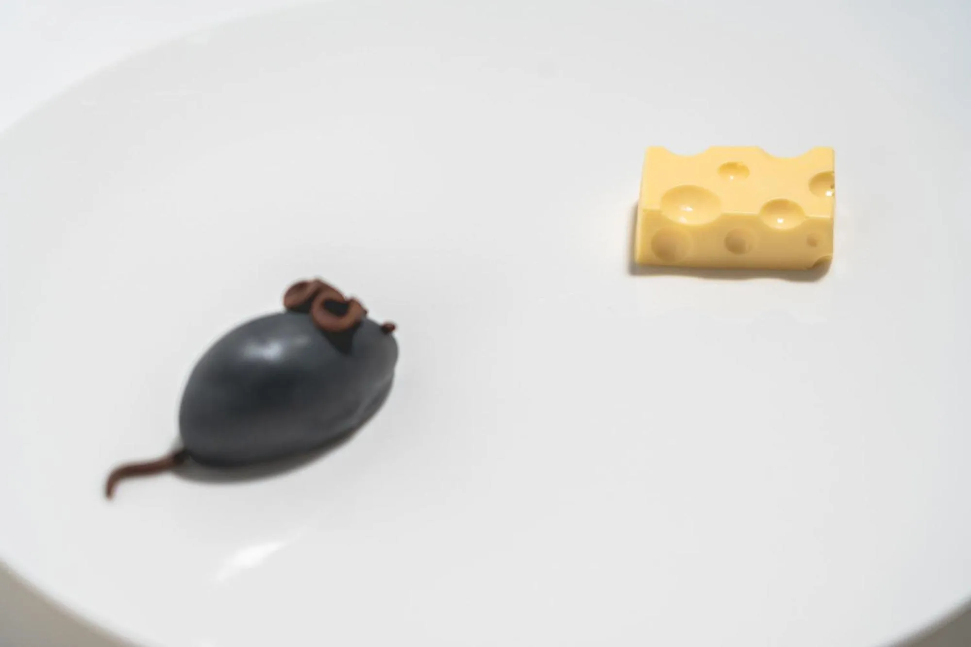 Restaurant/places to eat in Arborina Relais