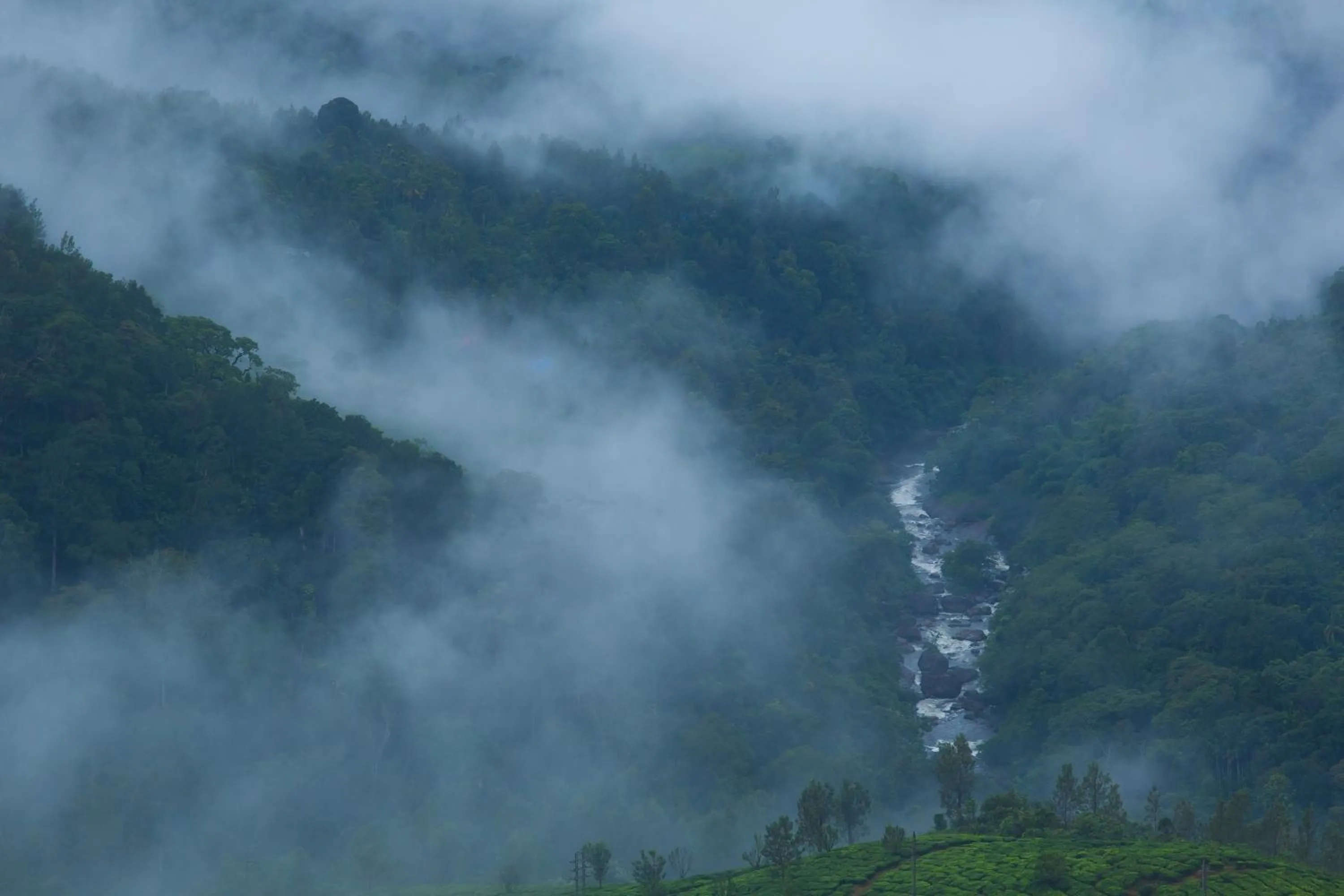 Mountain view in Fragrant Nature Munnar - A Five Star Classified Hotel