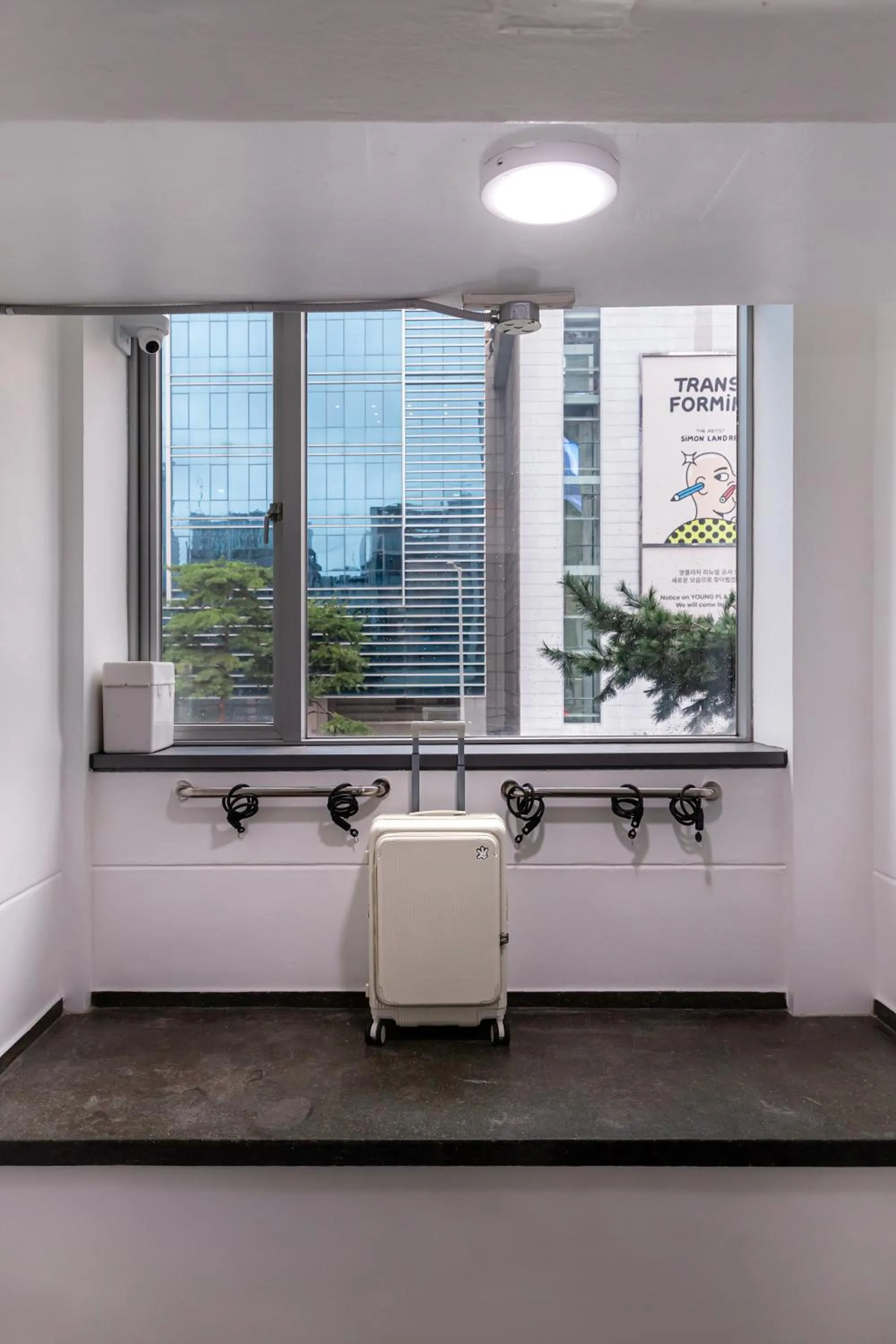 Area and facilities in Hi Stay Myeongdong