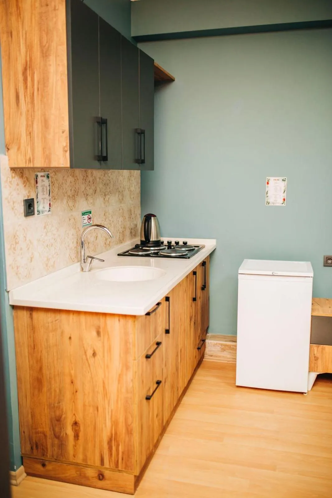 Kitchen or kitchenette in Ekinoks Hotel