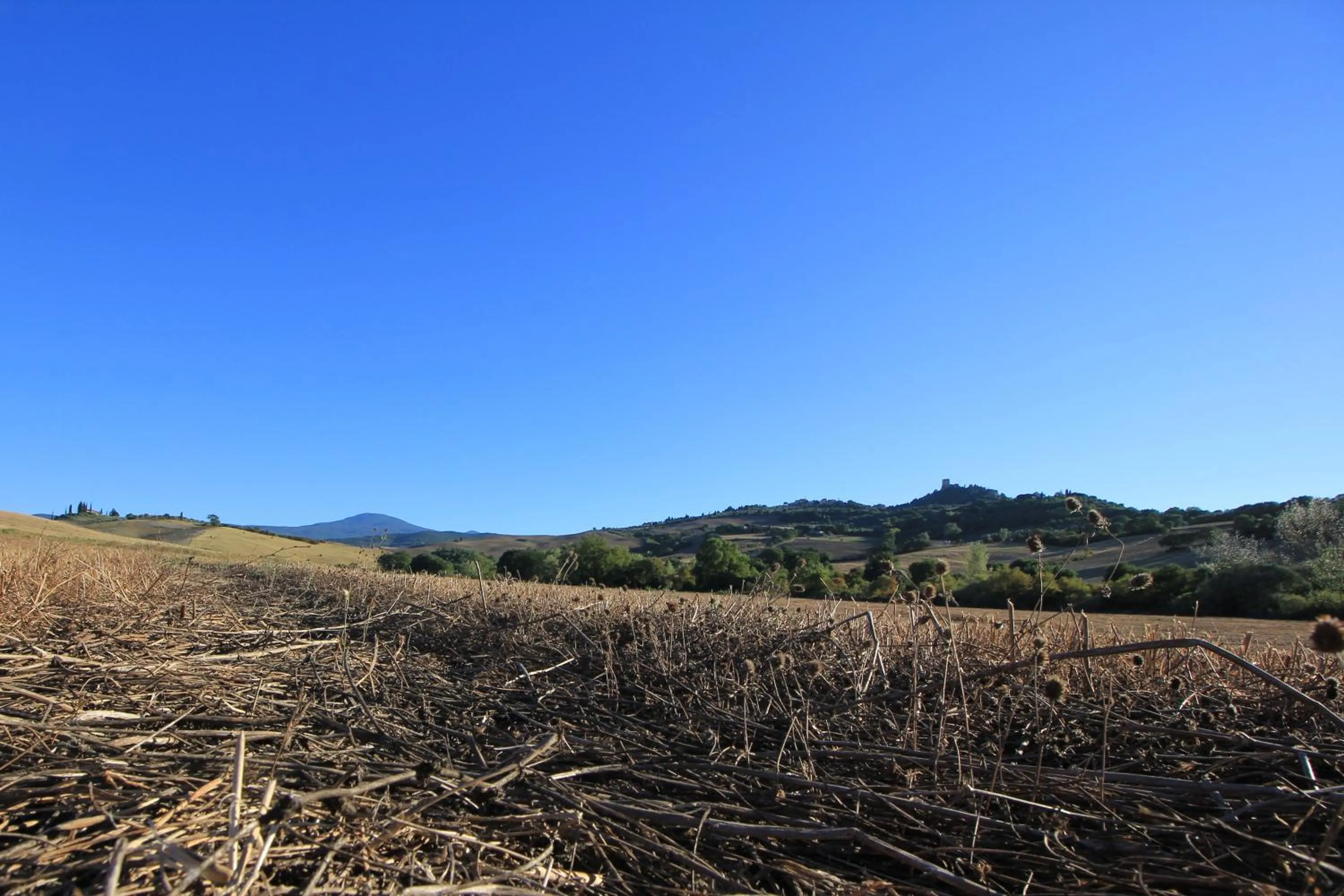 La Terrazza sulla Val d'Orcia