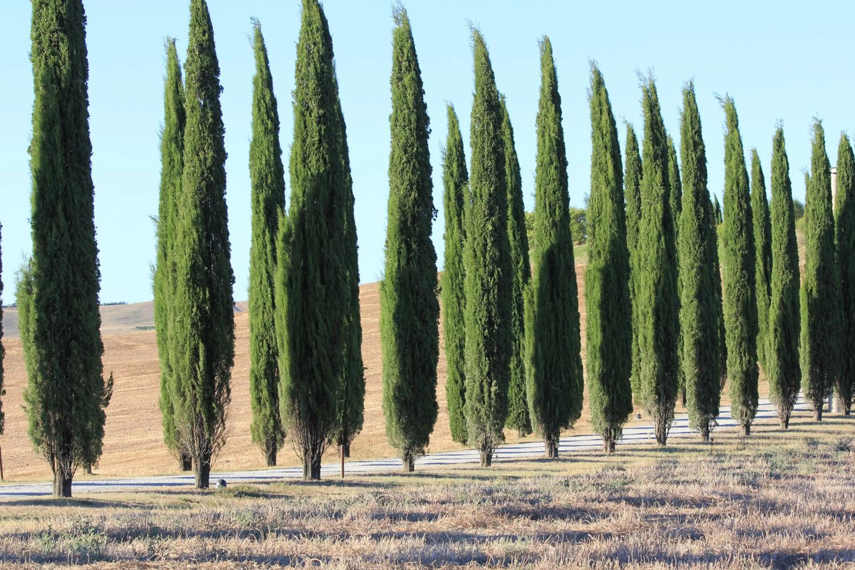 La Terrazza sulla Val d'Orcia