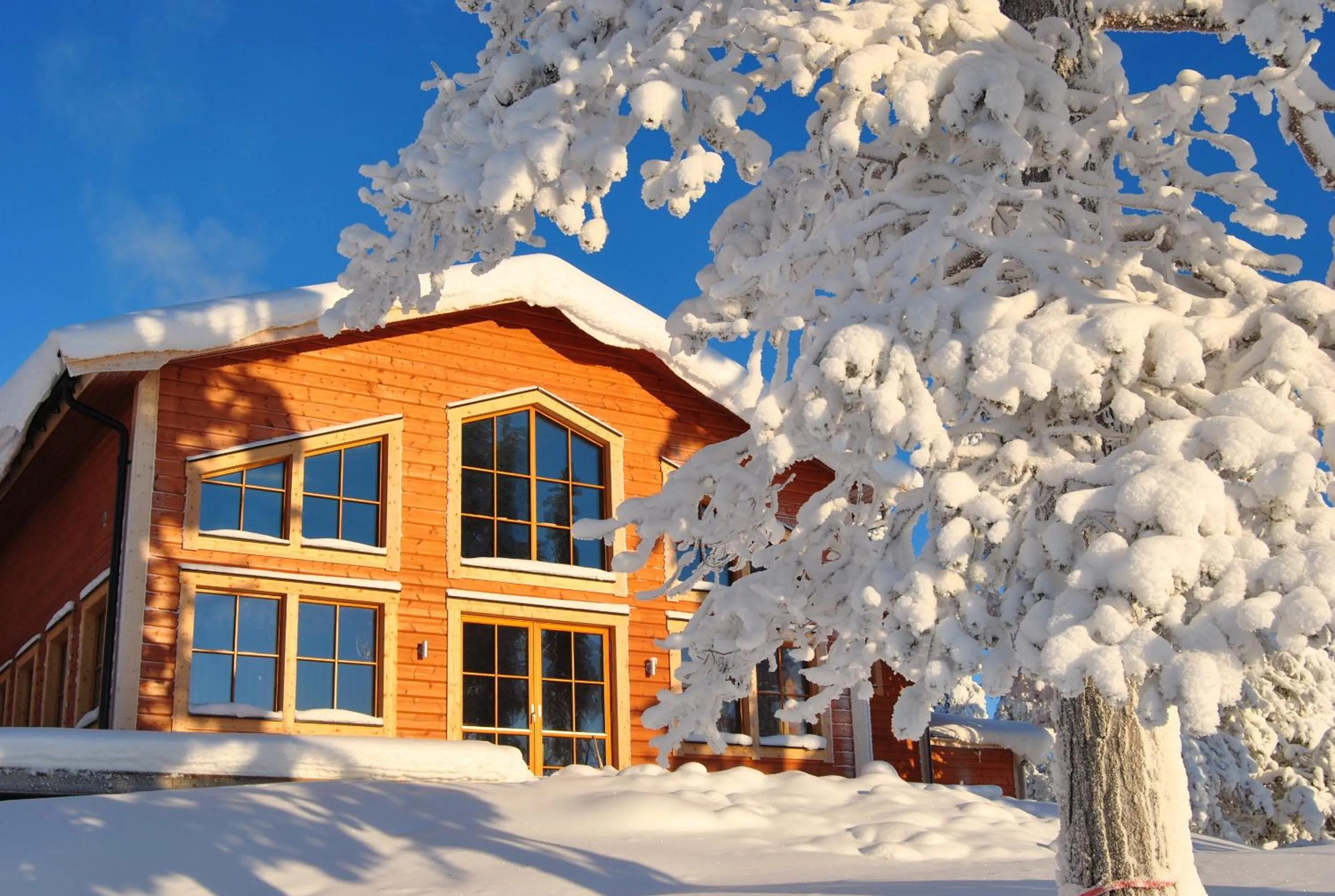 Property building in Pinetree Lodge