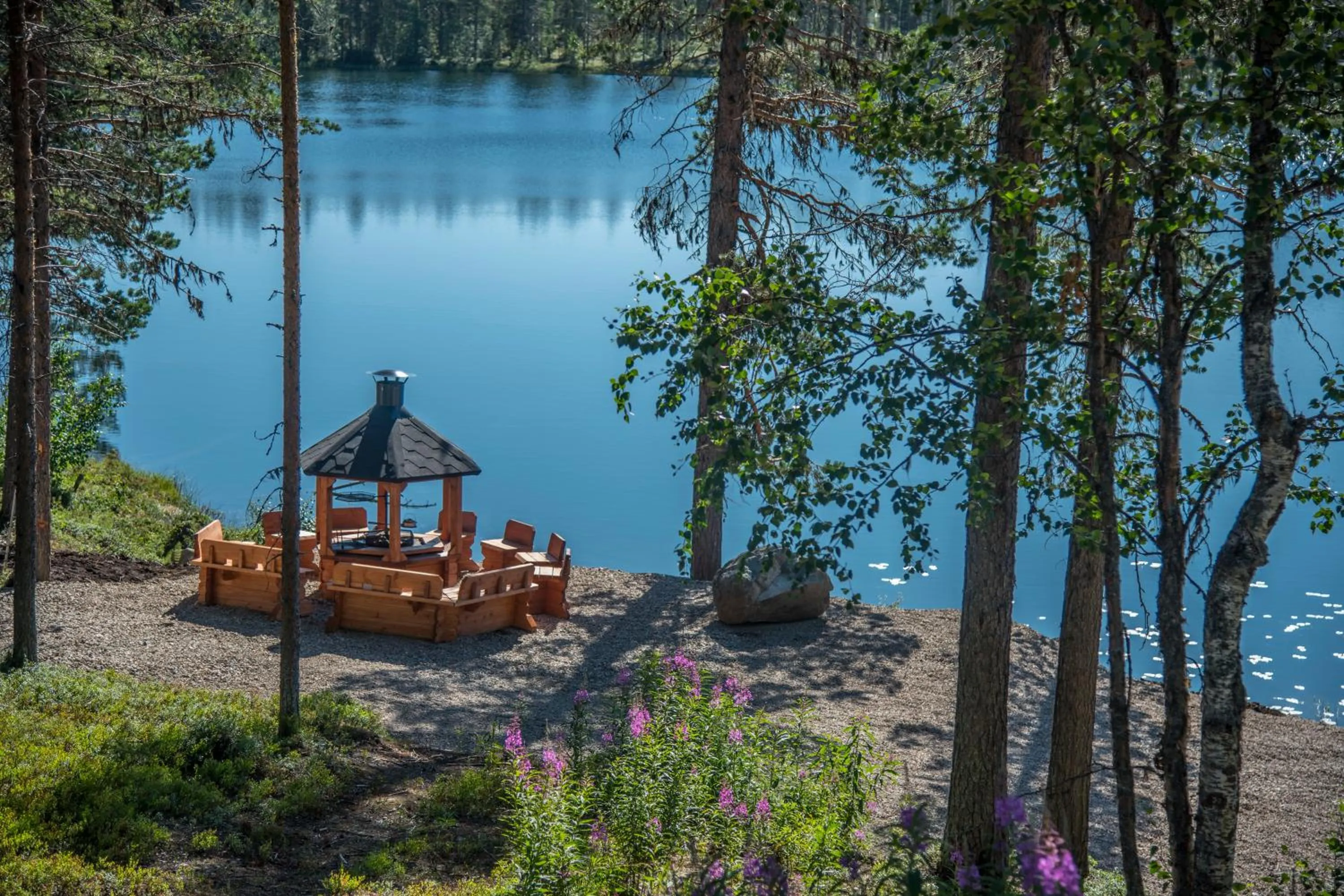 Natural landscape in Pinetree Lodge