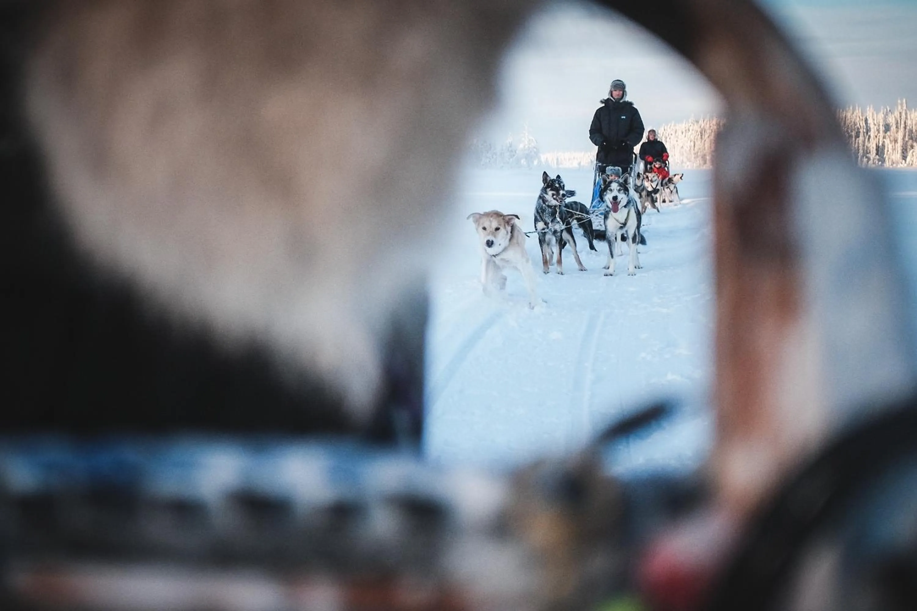 Winter in Pinetree Lodge