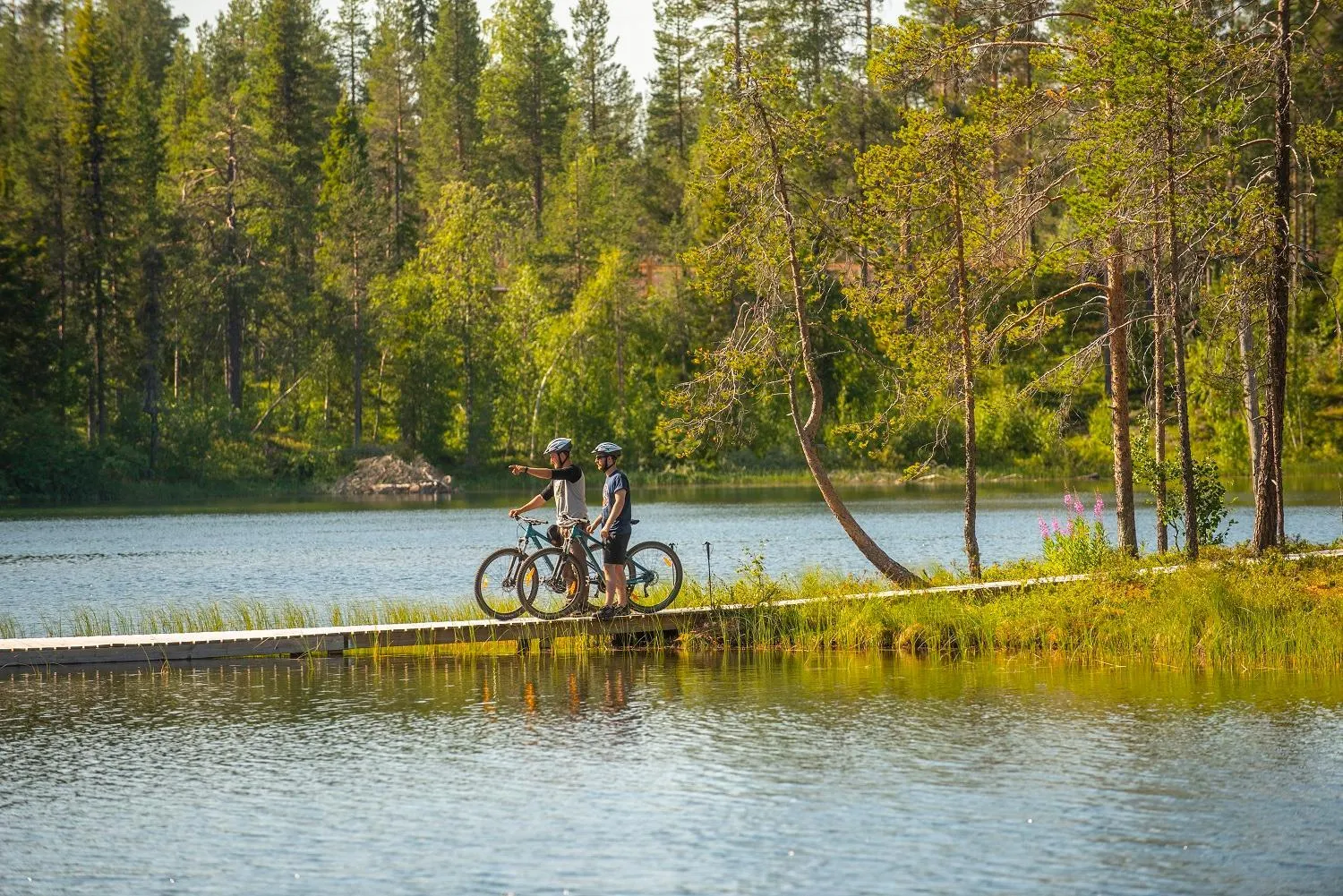Activities in Pinetree Lodge