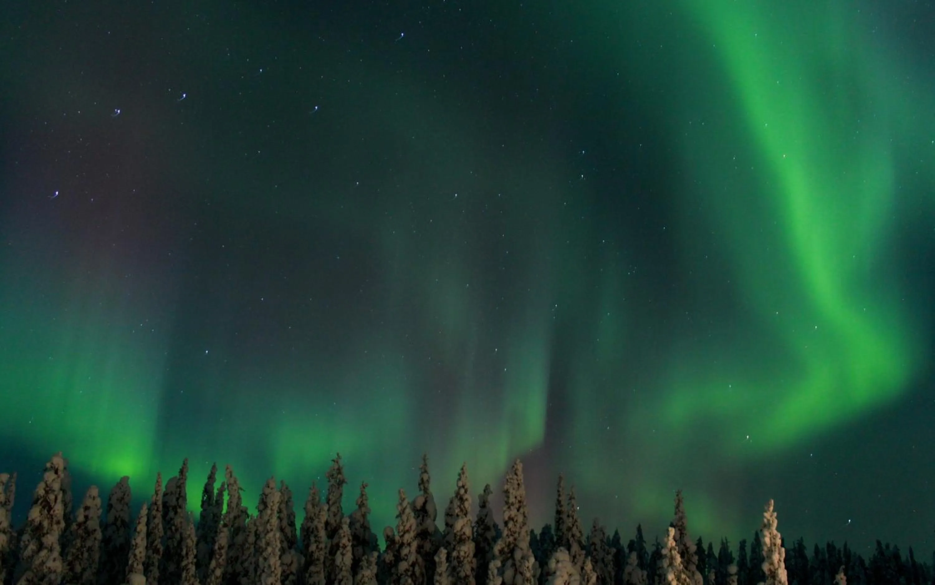 Night in Pinetree Lodge