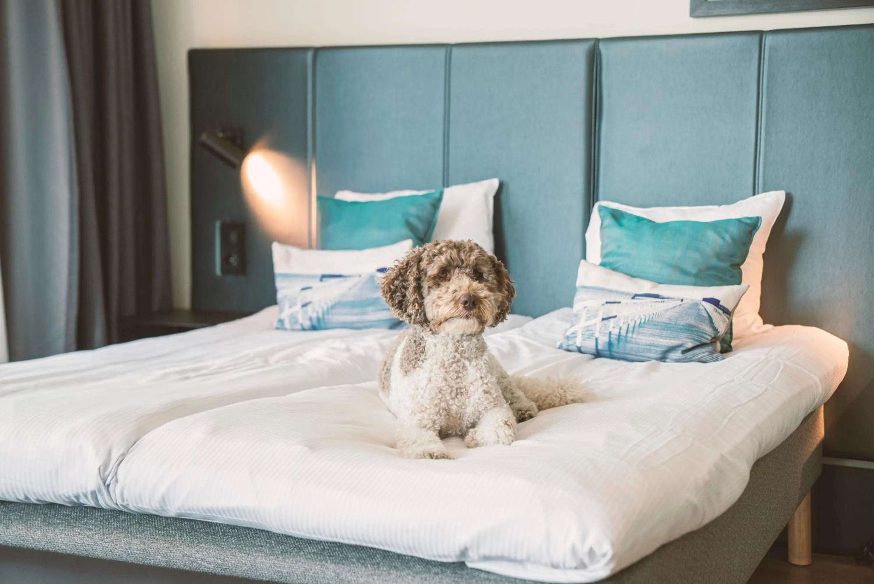 Bedroom, Bed in Quality Hotel View