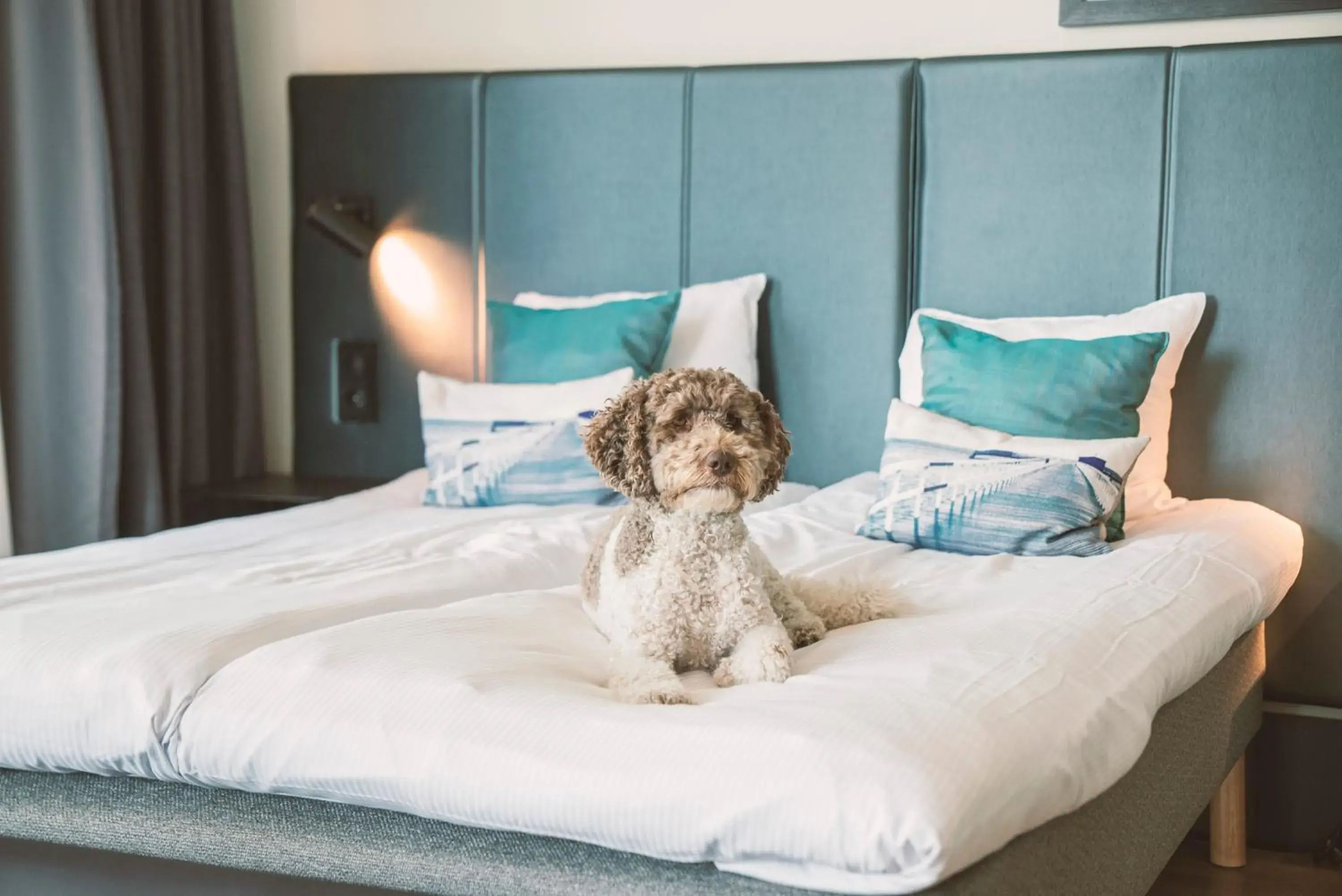 Bedroom, Bed in Quality Hotel View Bedroom, Bed in Quality Hotel View