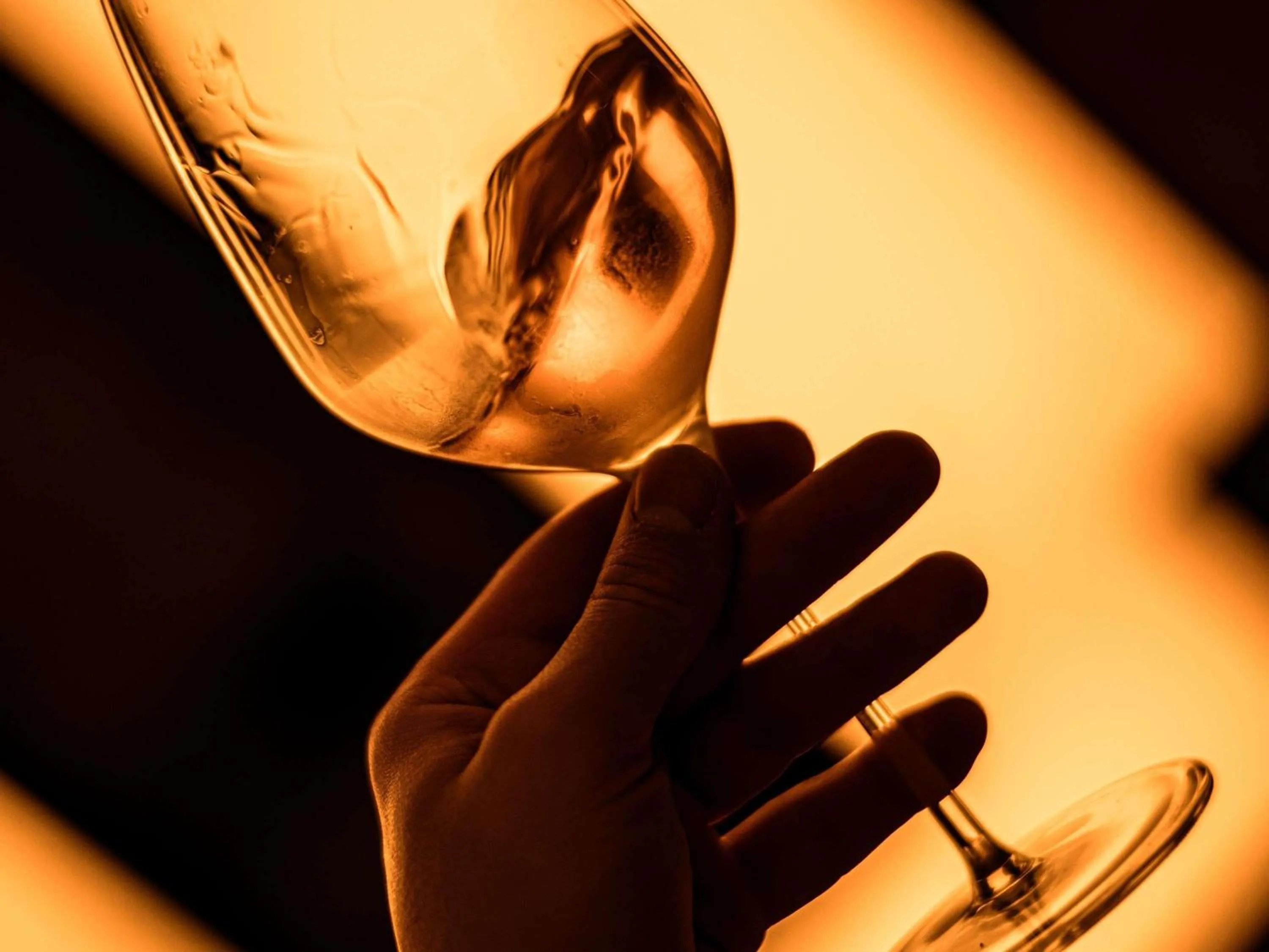 Lounge or bar in You Hotel Budapest - Handwritten Collection