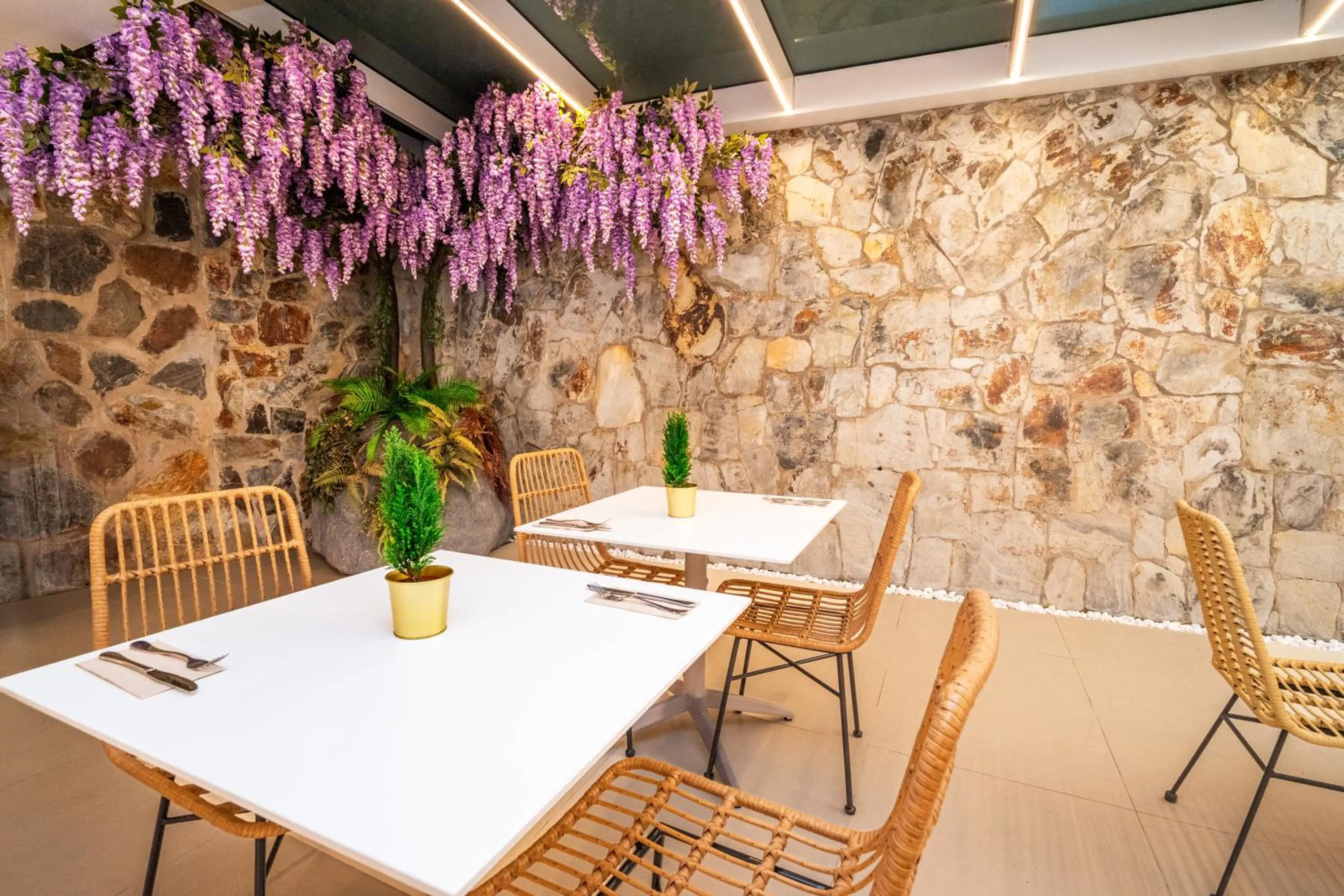 Restaurant/places to eat in Hotel Sahara Playa