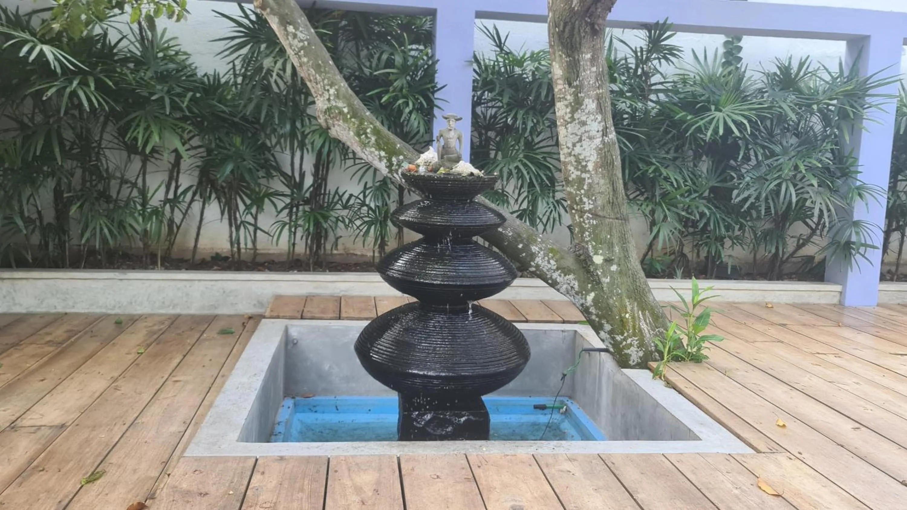 Garden in Hotel Good Life Unawatuna