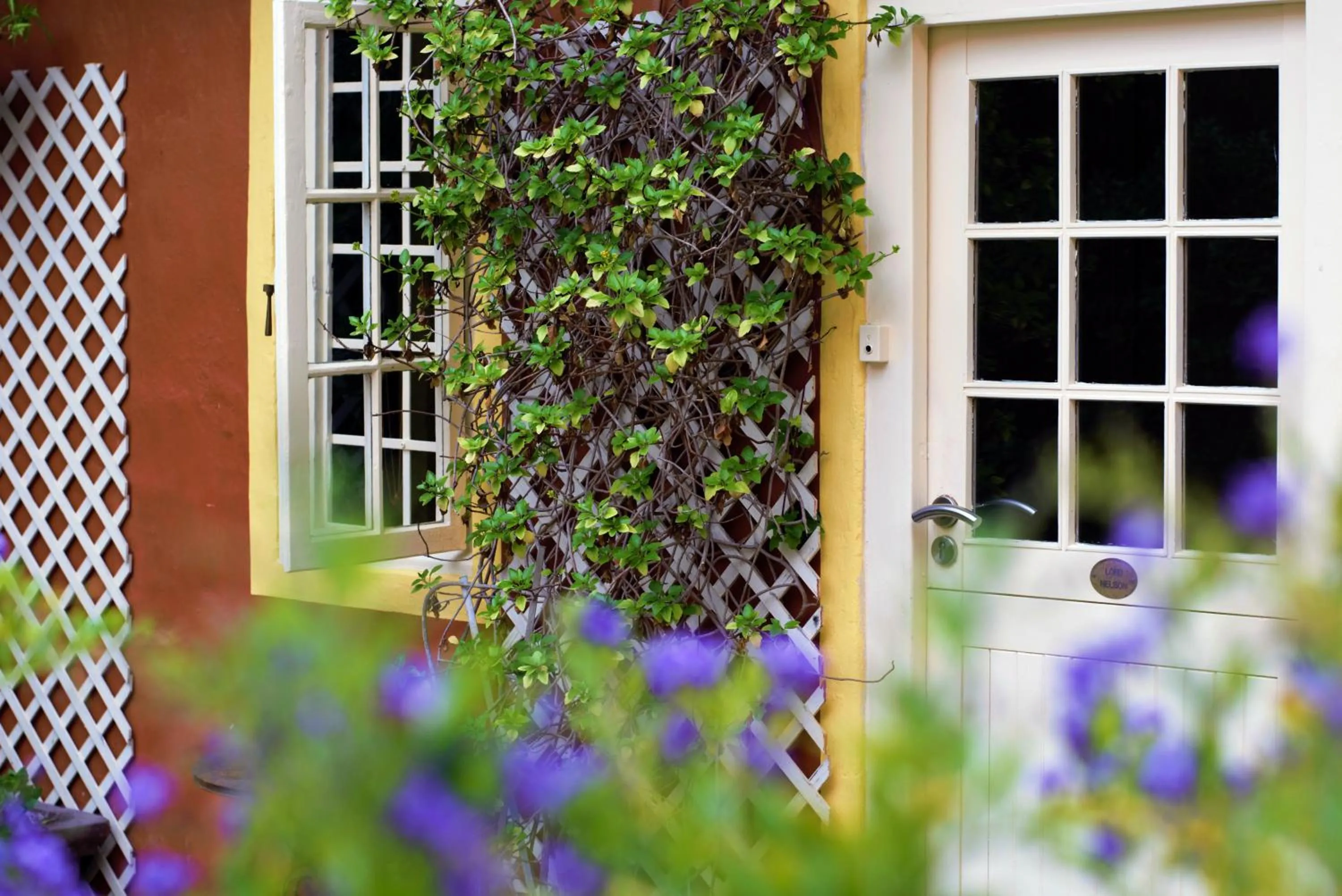 Garden in Villa Margherita