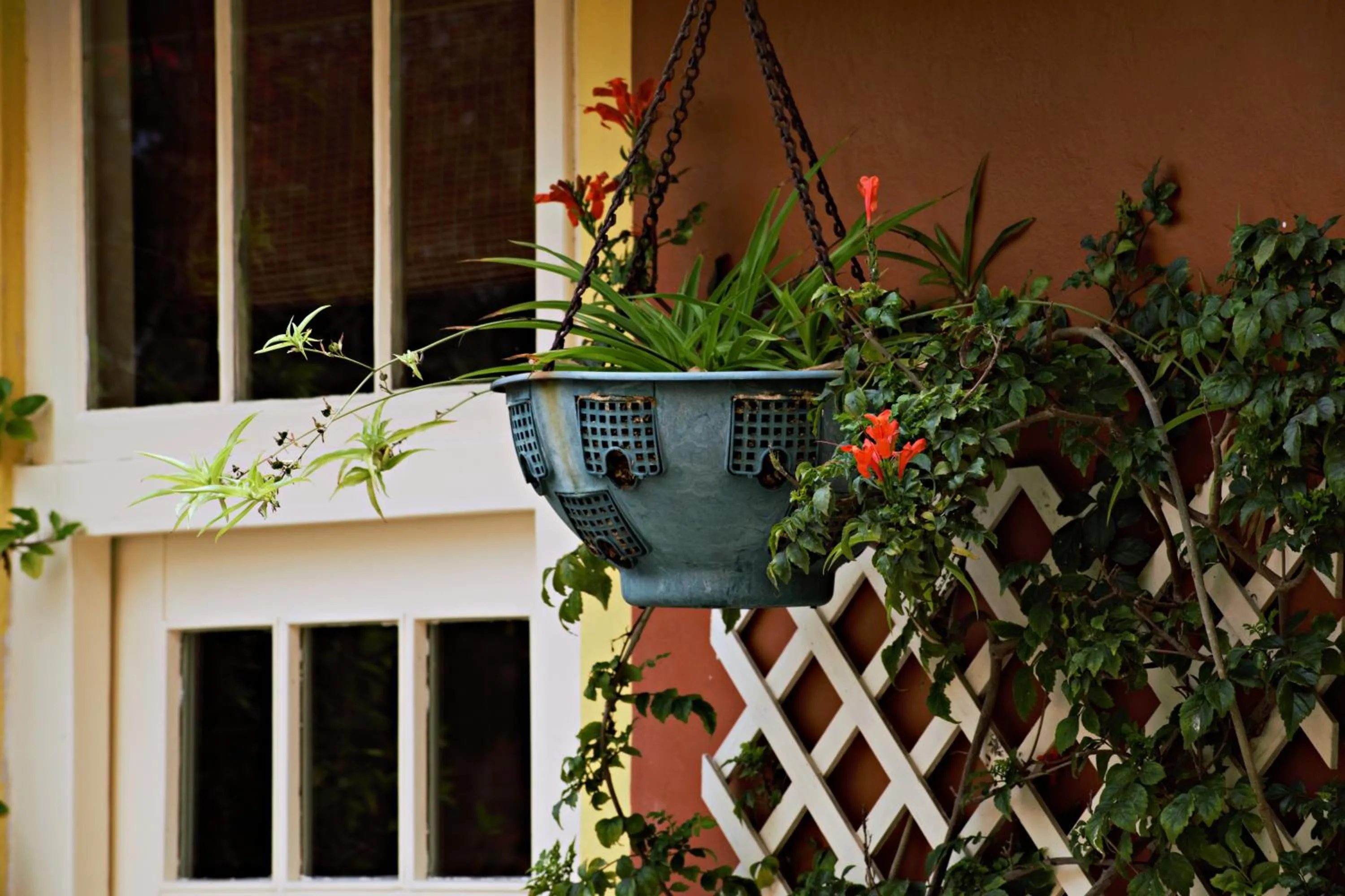 Garden in Villa Margherita