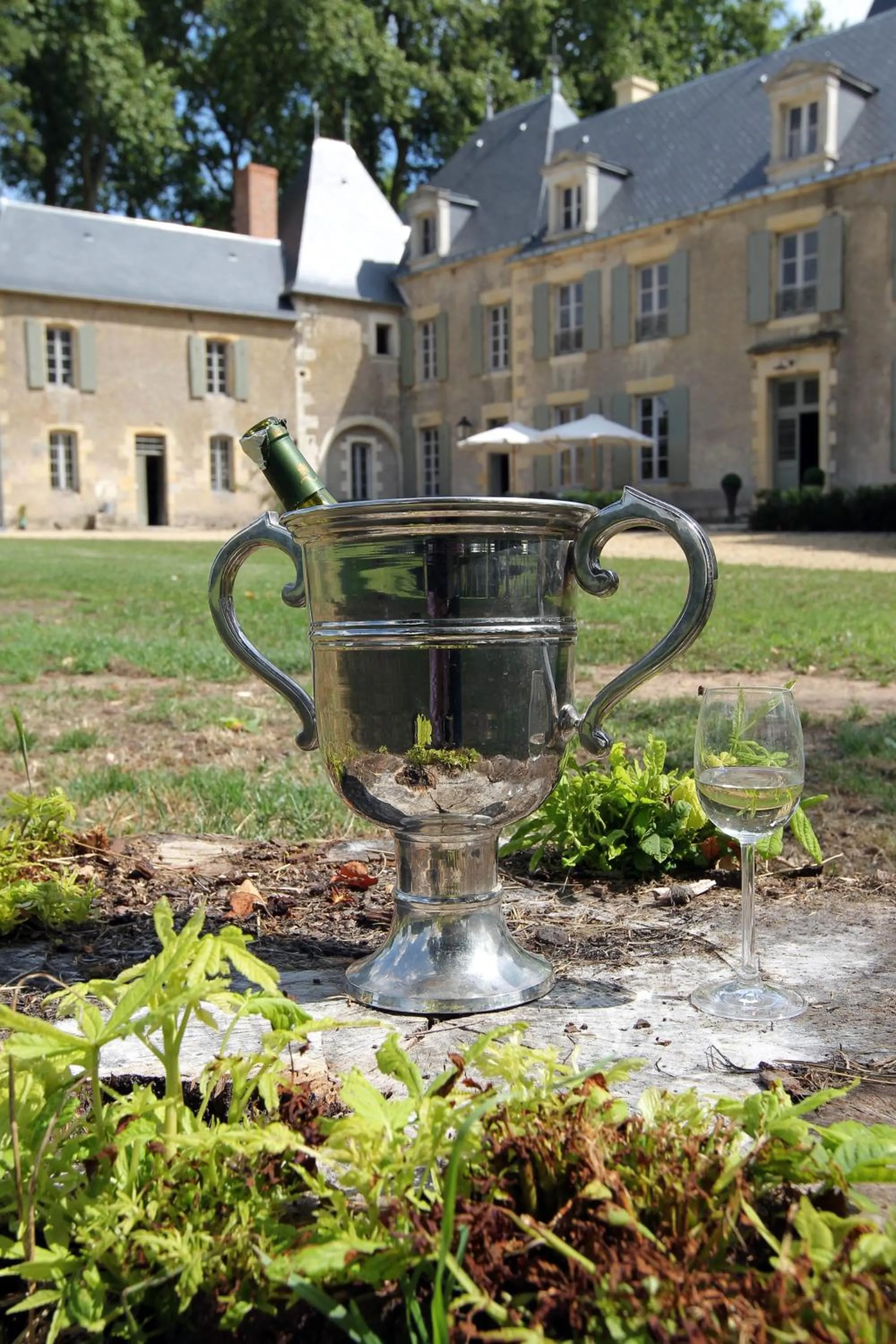 Garden in Château de Planchevienne
