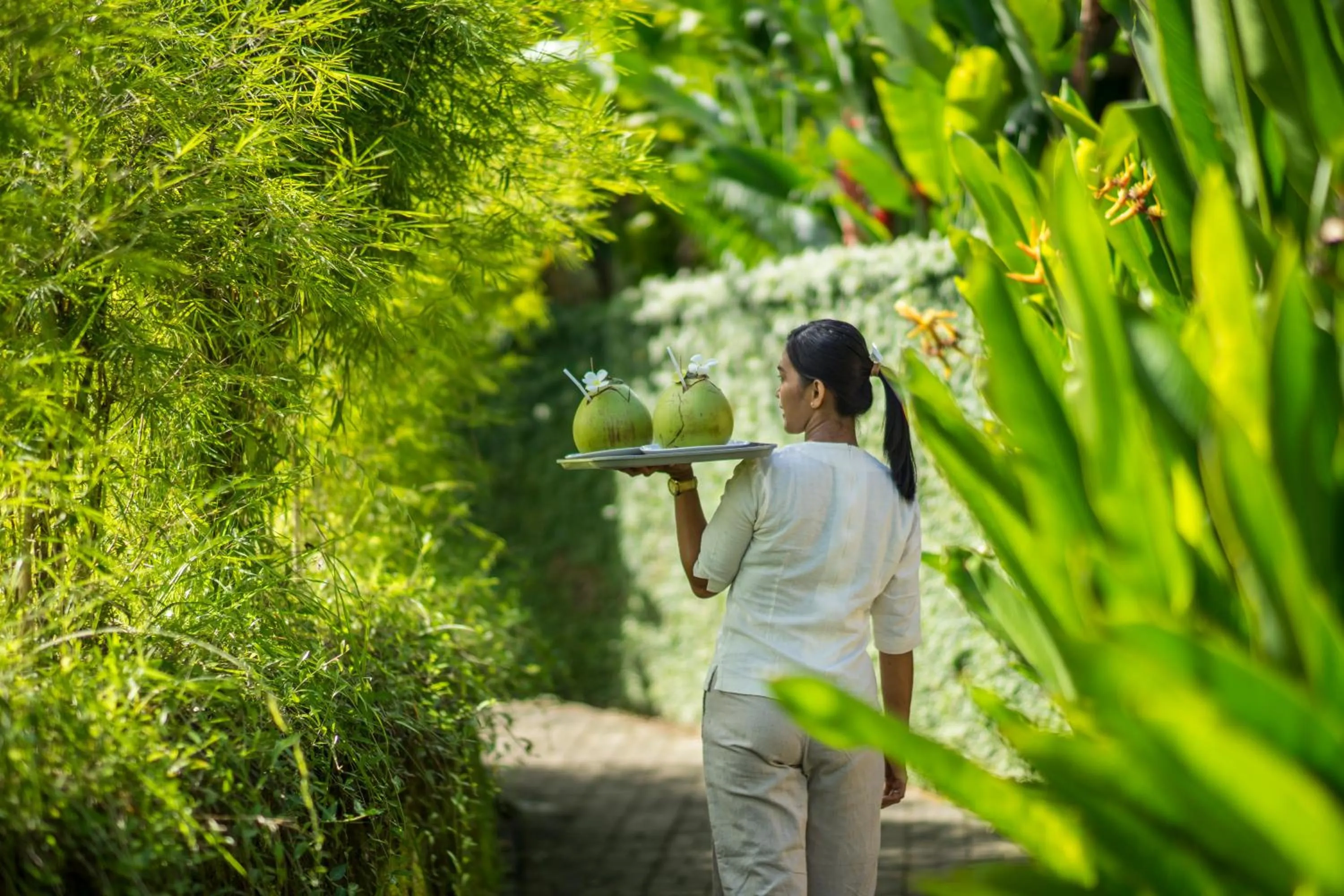 Area and facilities in Alami Boutique Villas & Resort