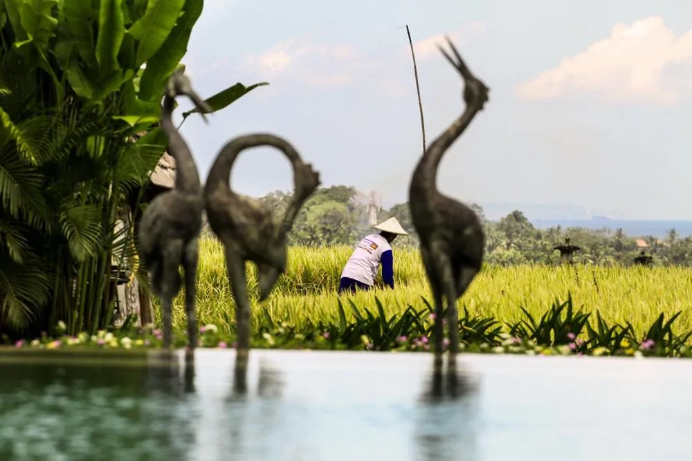 Property building in Alami Boutique Villas & Resort