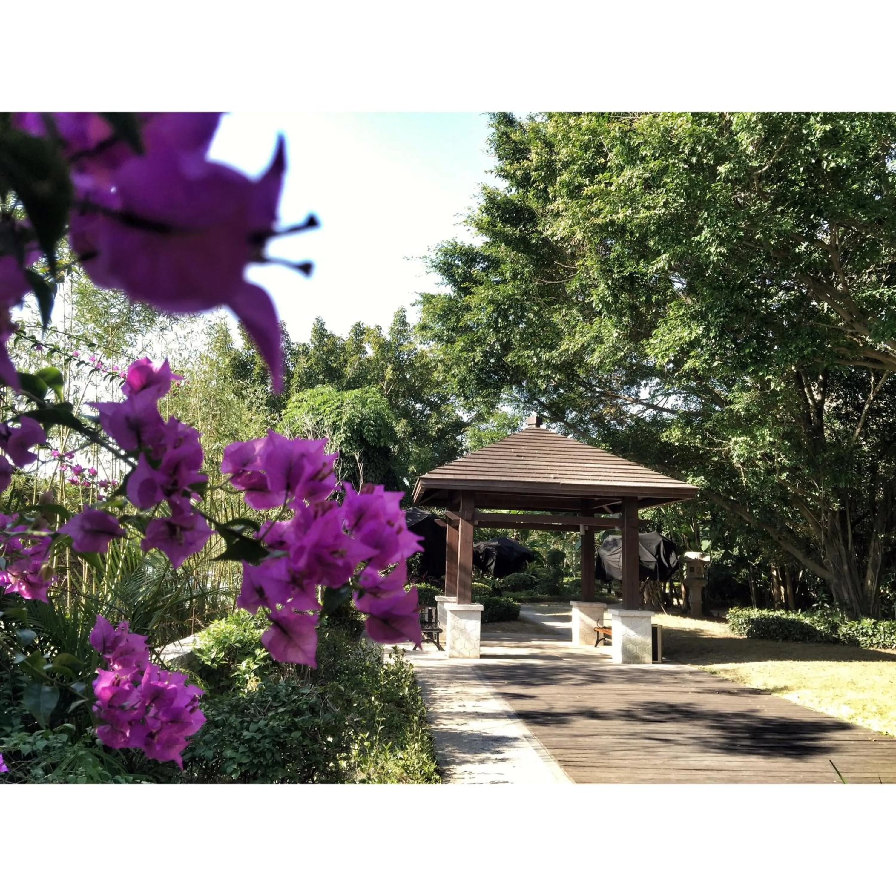 Garden in C&D Hotel Fuzhou