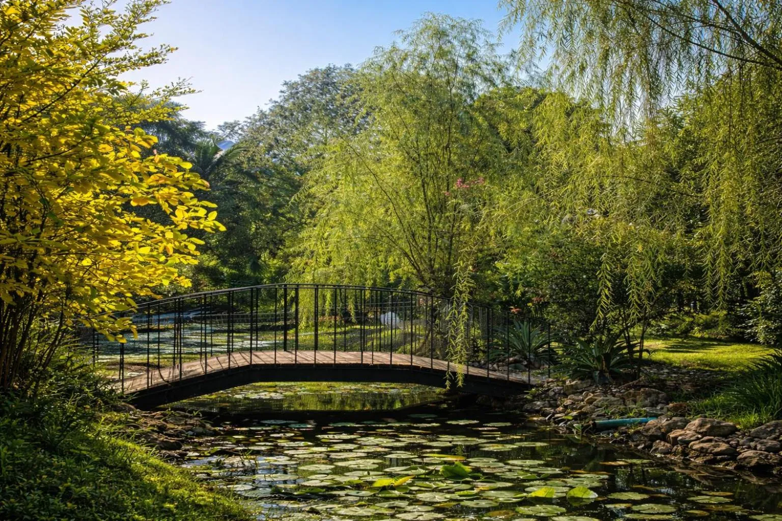 Natural landscape in Fisherman Way Beach Villa