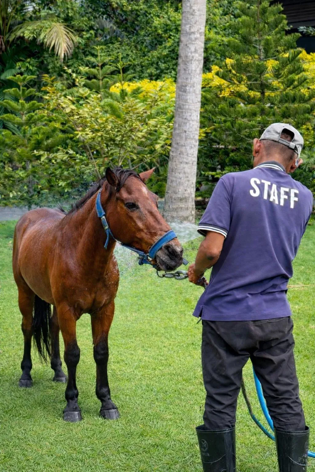 People in Fisherman Way Beach Villa