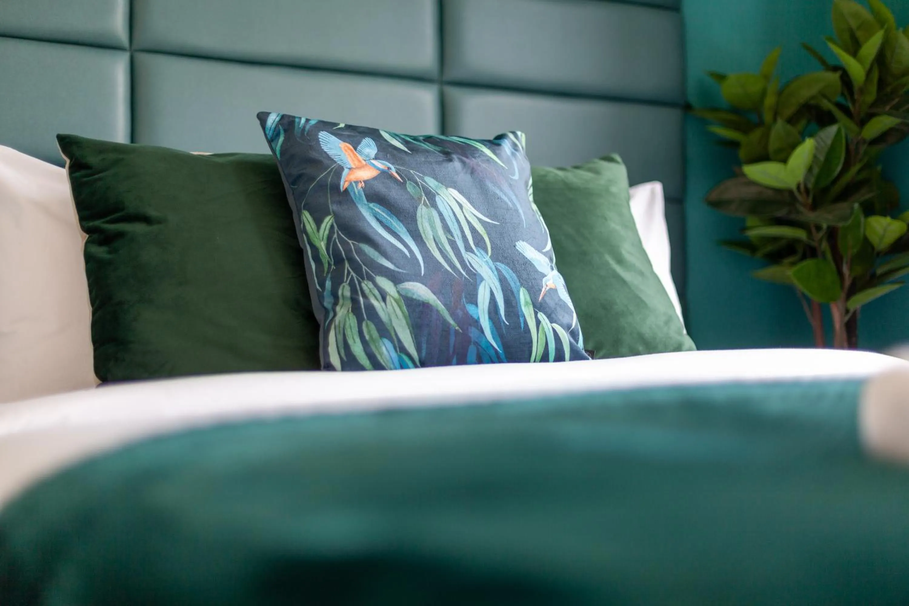 Bed in Tranquil 5BR house with garden & terrace, SE London