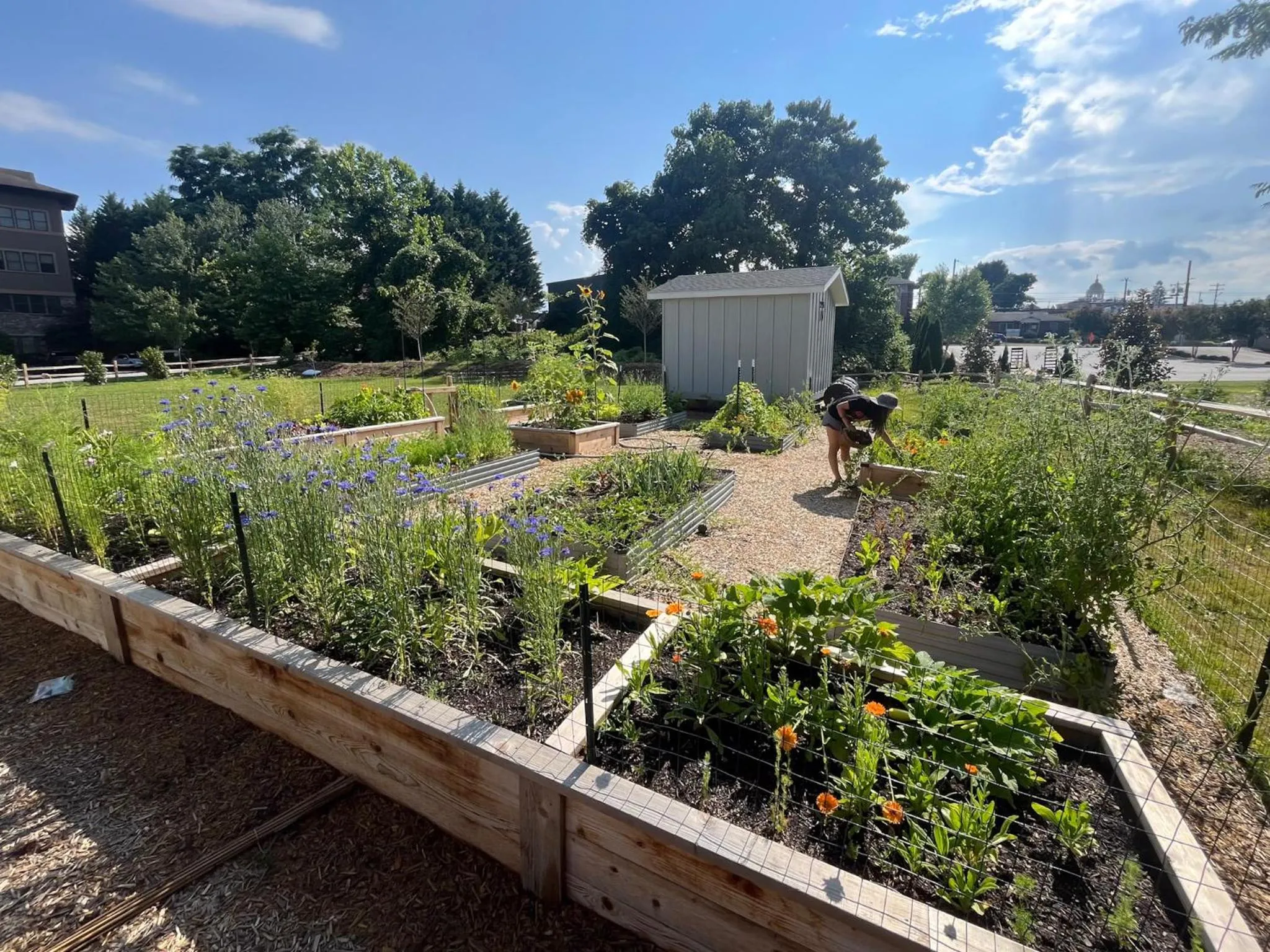 Garden in Allora