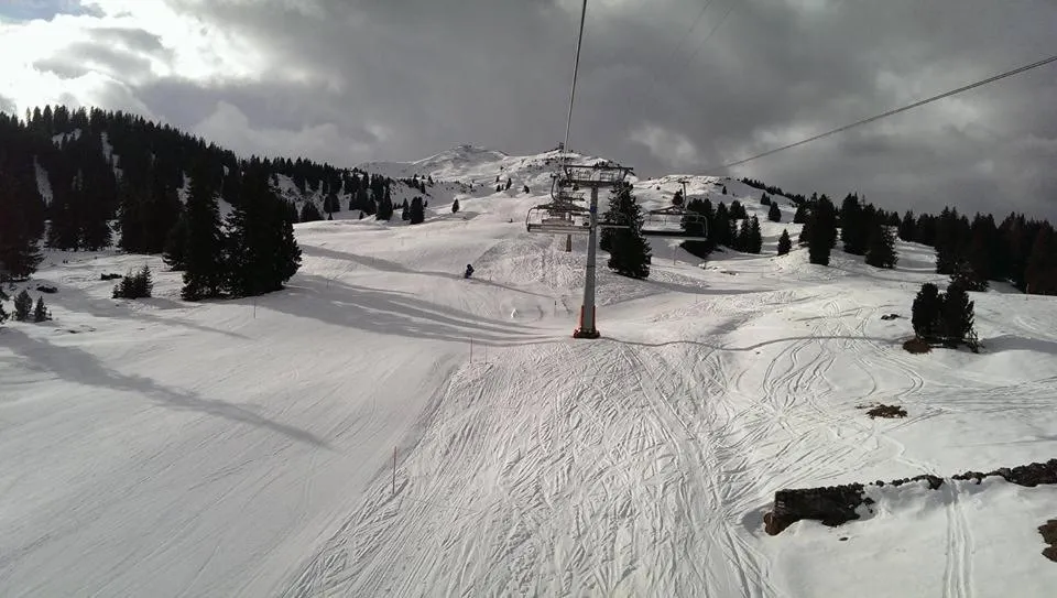 Winter in Aparthotel Edy Bruggmann AG