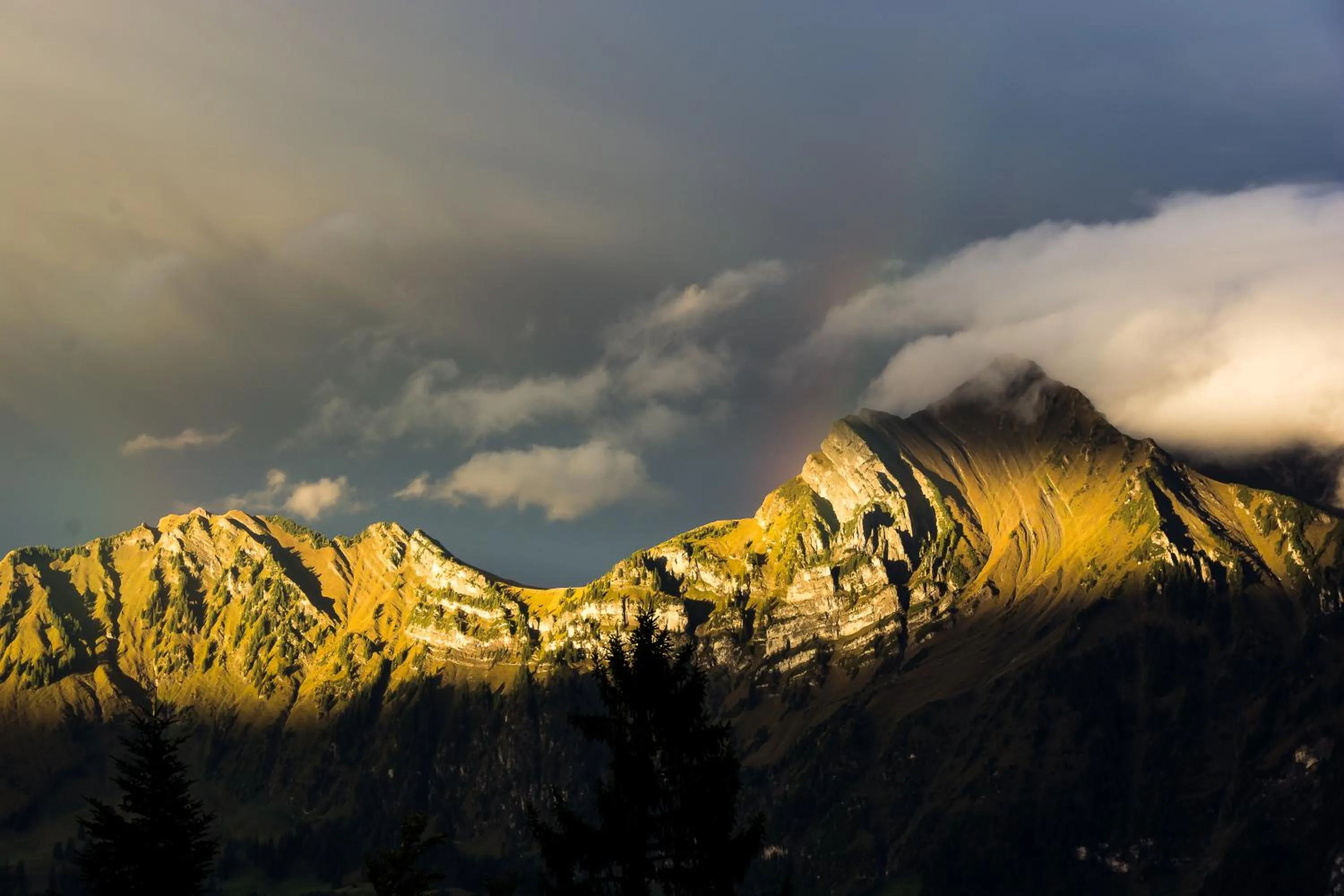 Natural landscape in Aparthotel Edy Bruggmann AG