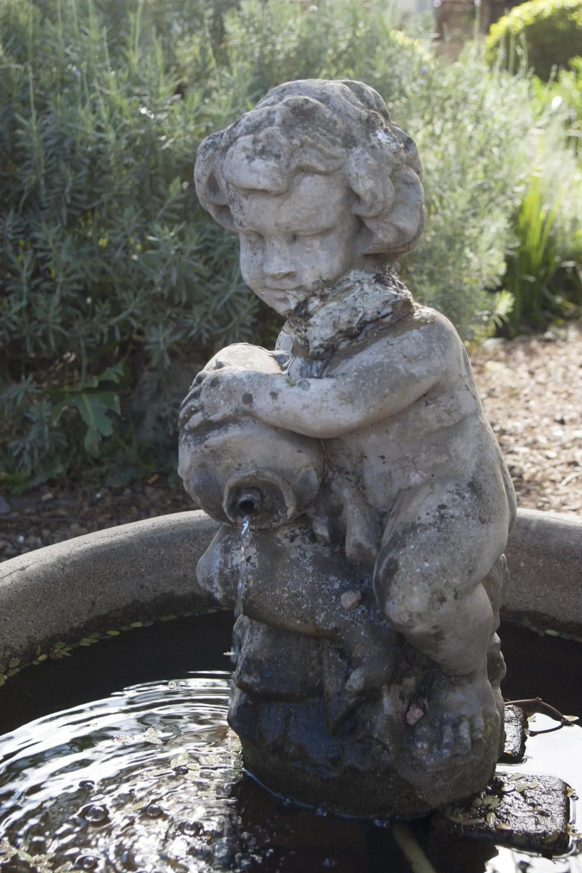 Garden in Tancredi B&B