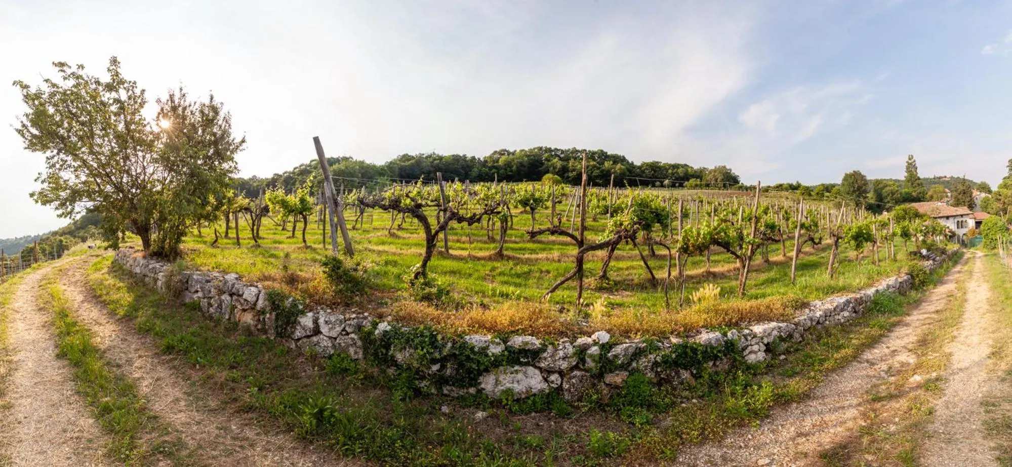Day in Fattoria Le Vegre