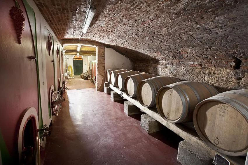 Activities in Fattoria Le Vegre