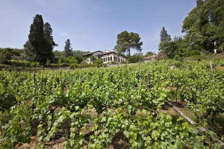 Property building in Fattoria Le Vegre