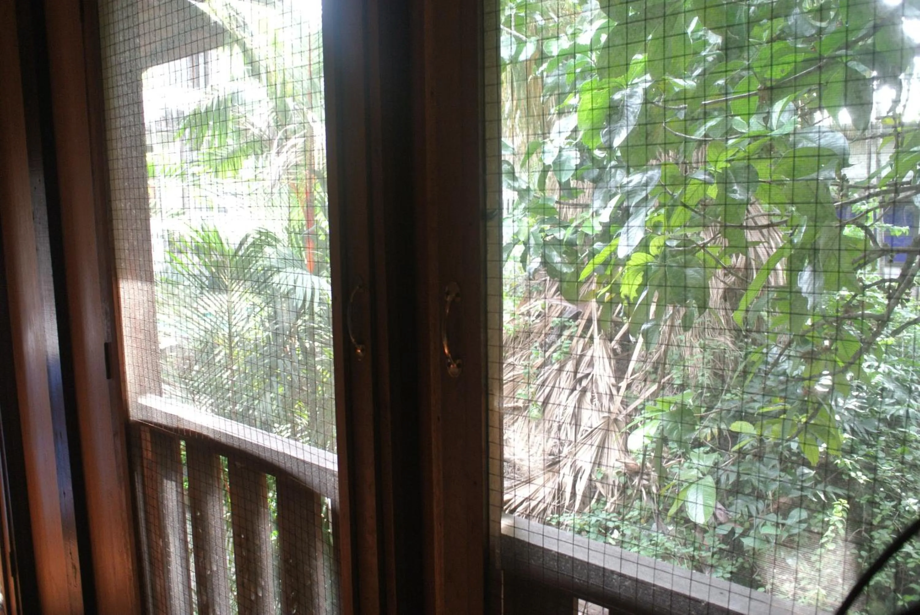 Day in Villa Guest House