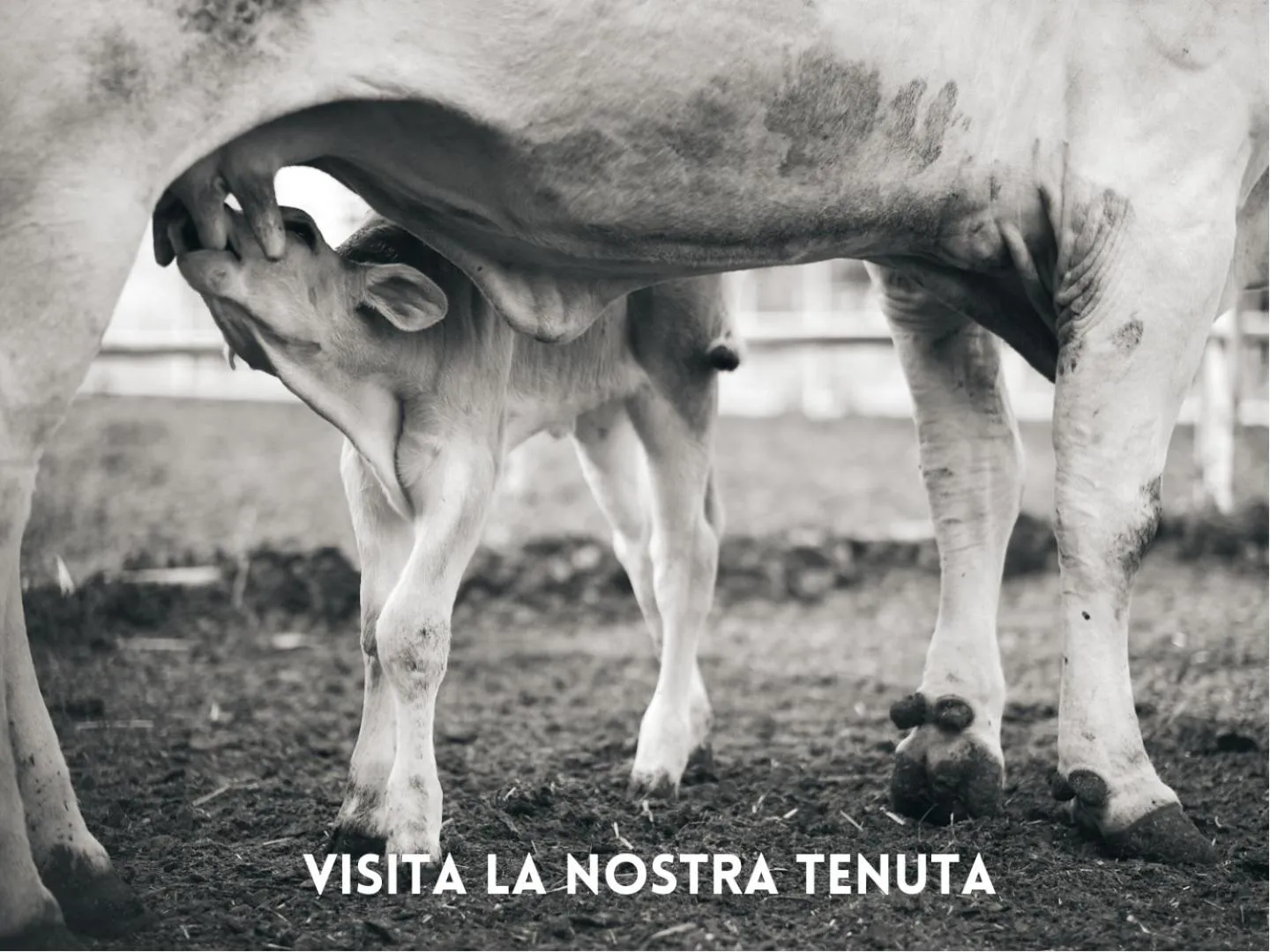 Activities in Villa La Salina