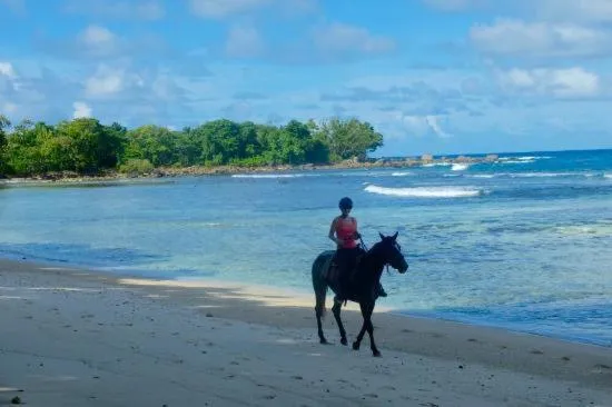 Property building in Precious Residence C