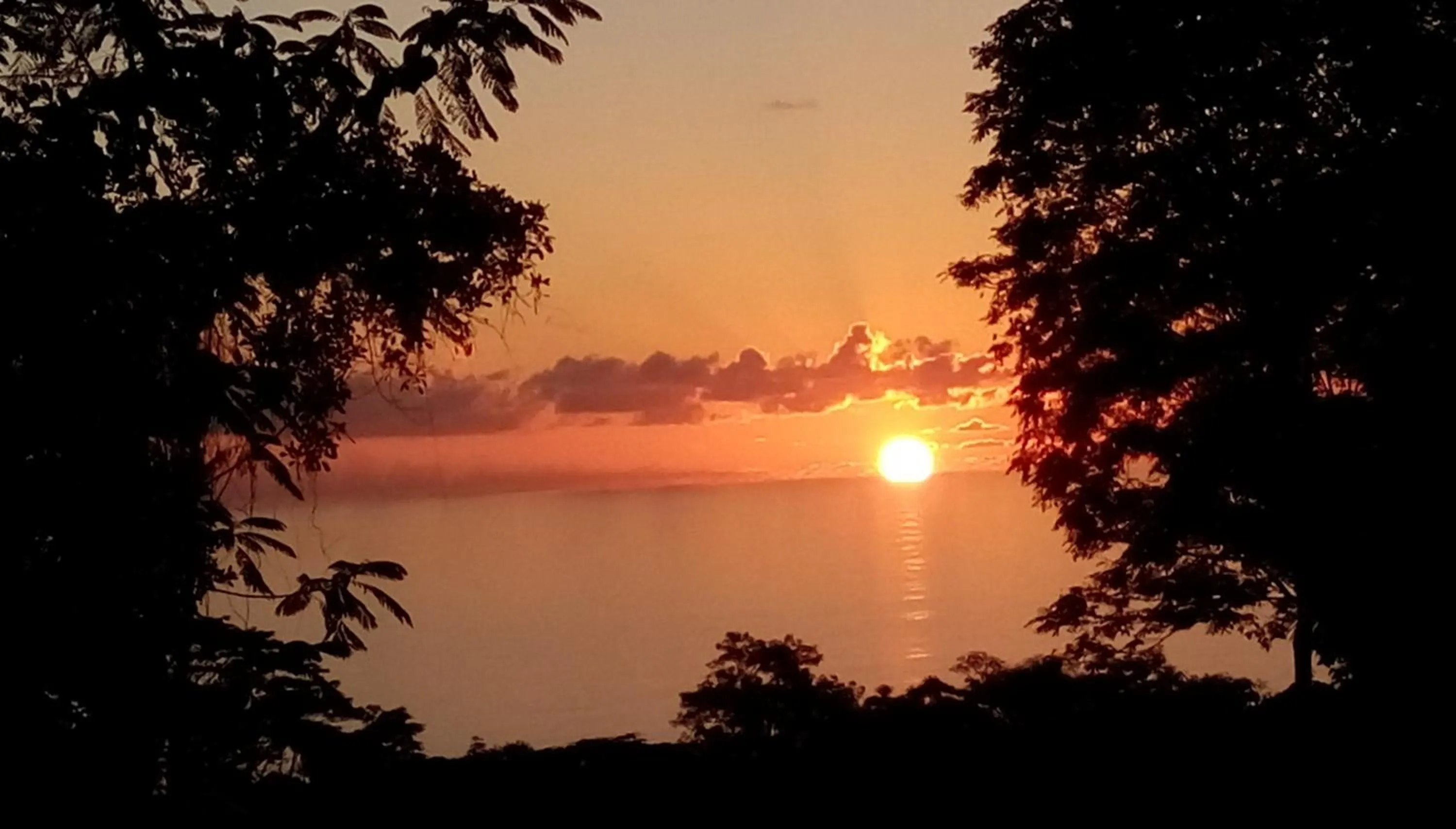 Sea view in Precious Residence C