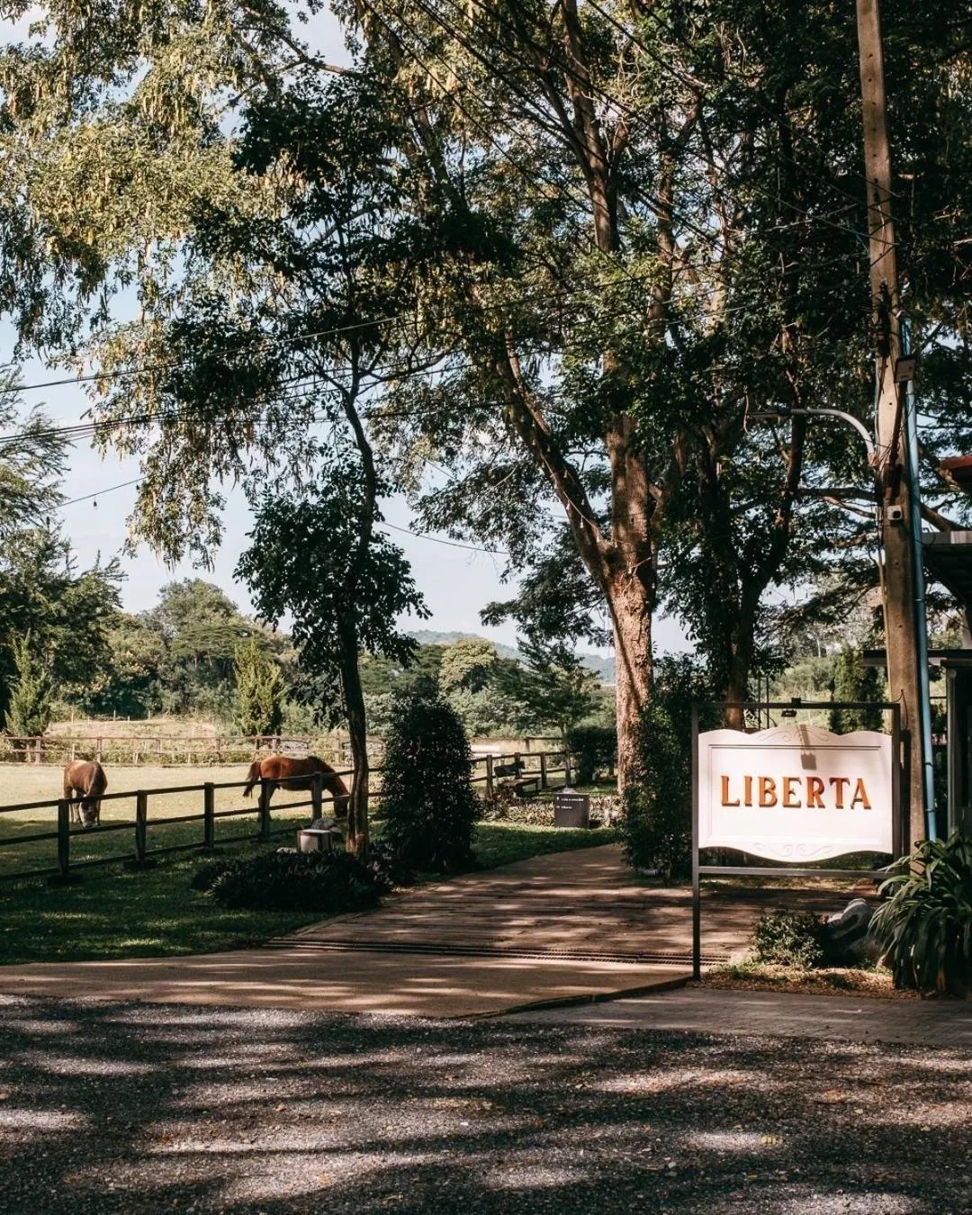 Spring in Issara Boutique Winery Hotel