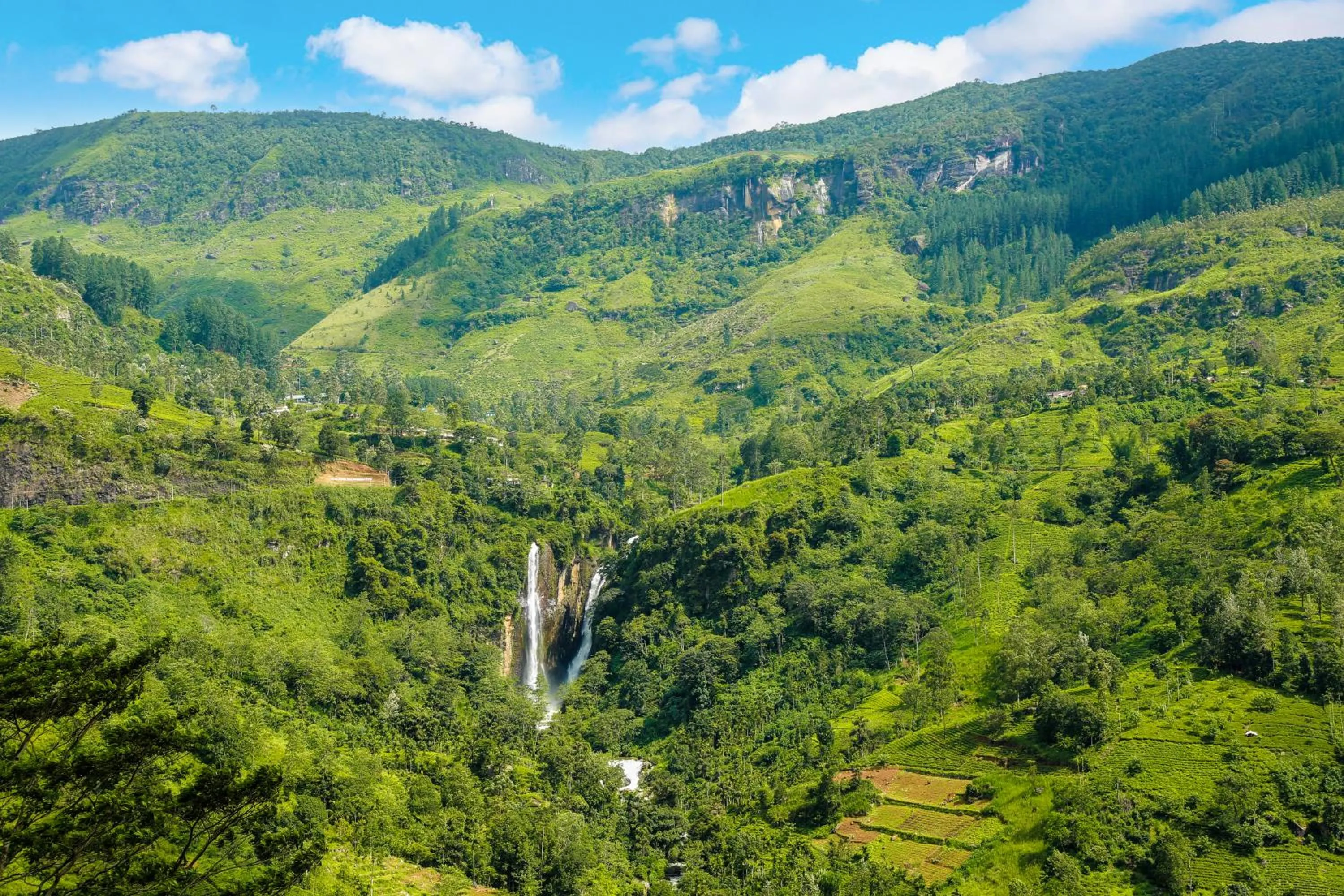 Mountain view in Oak Ray Tea Bush