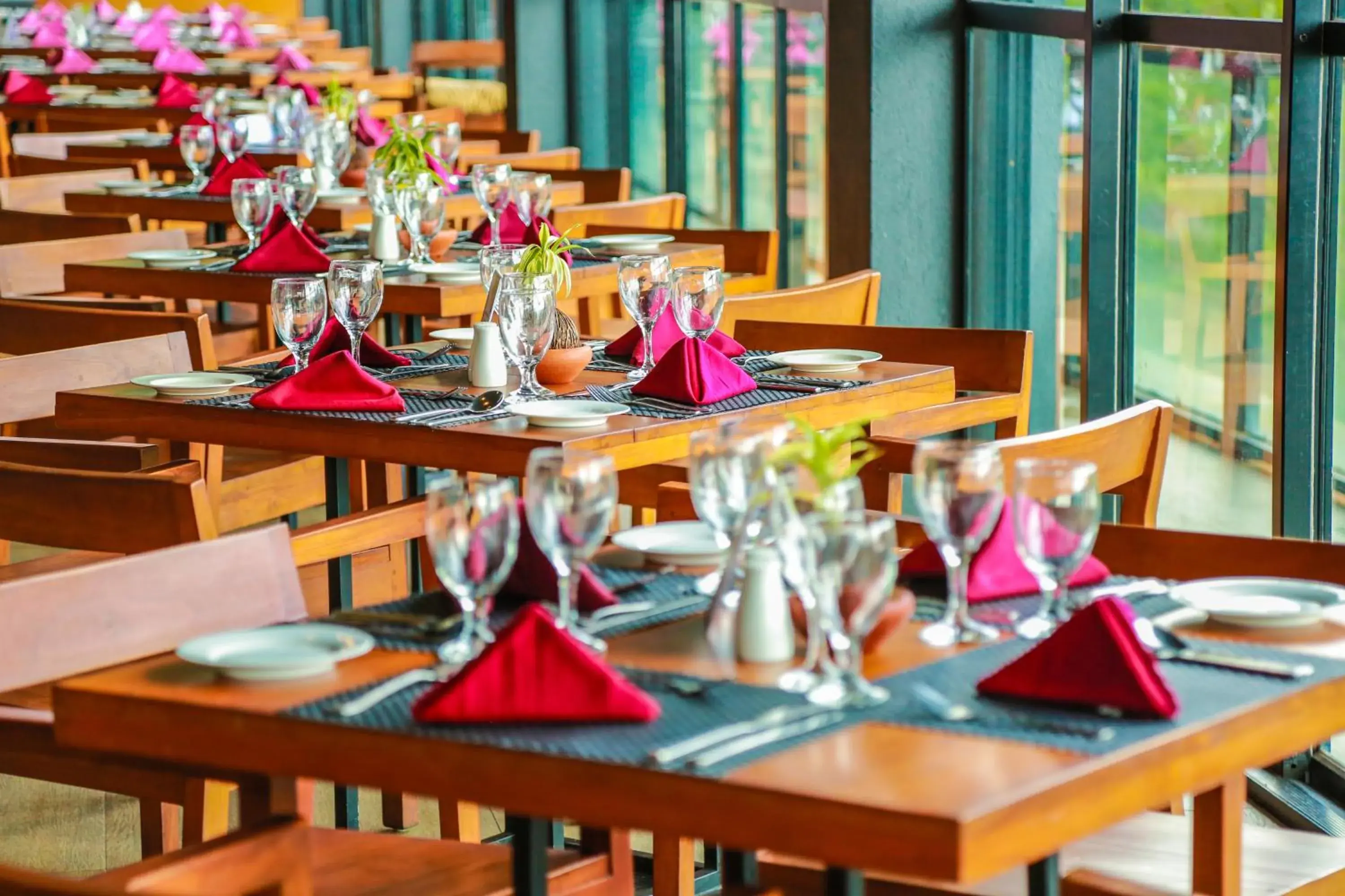 Restaurant/places to eat in Oak Ray Tea Bush Restaurant/places to eat in Oak Ray Tea Bush