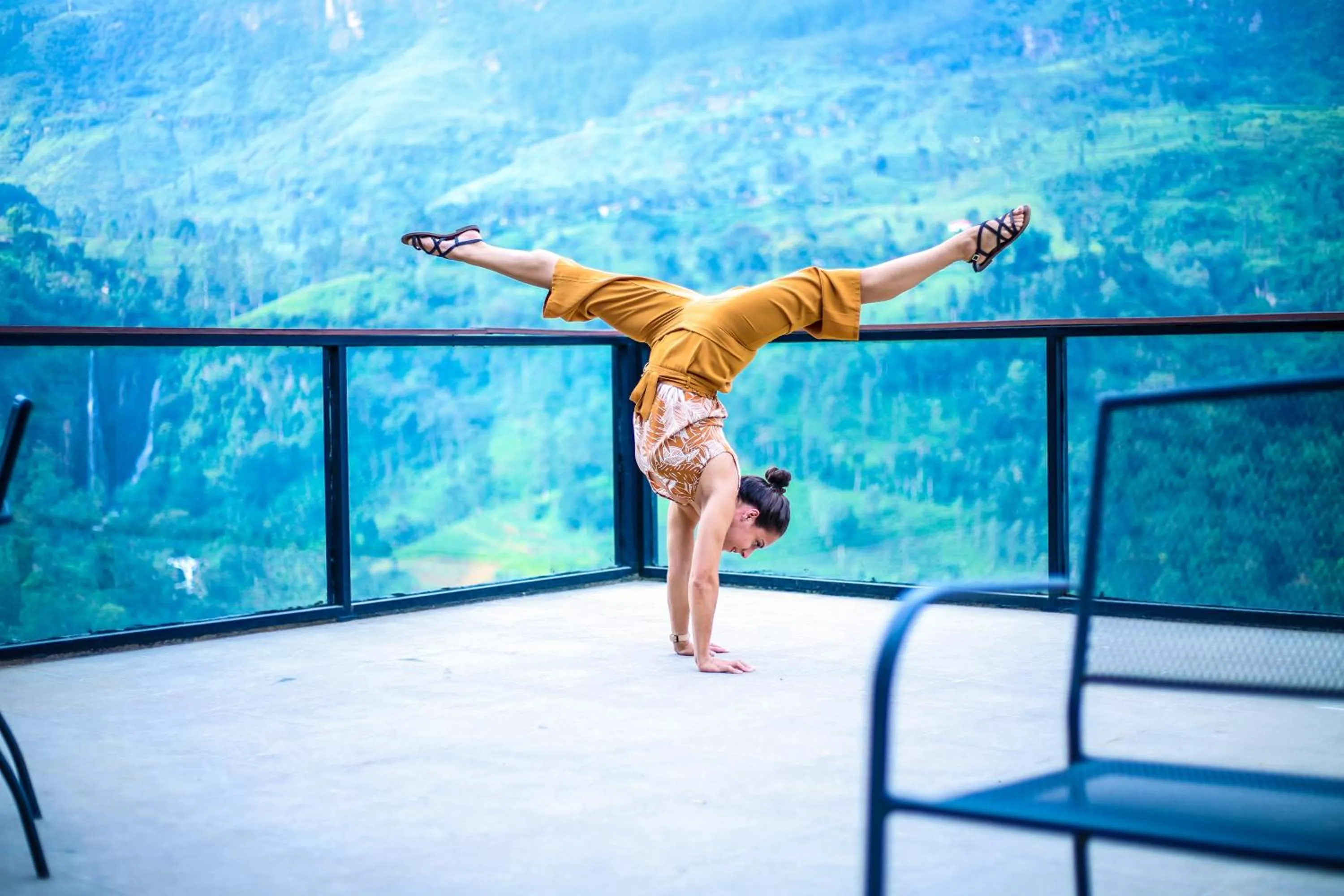 Other in Oak Ray Tea Bush