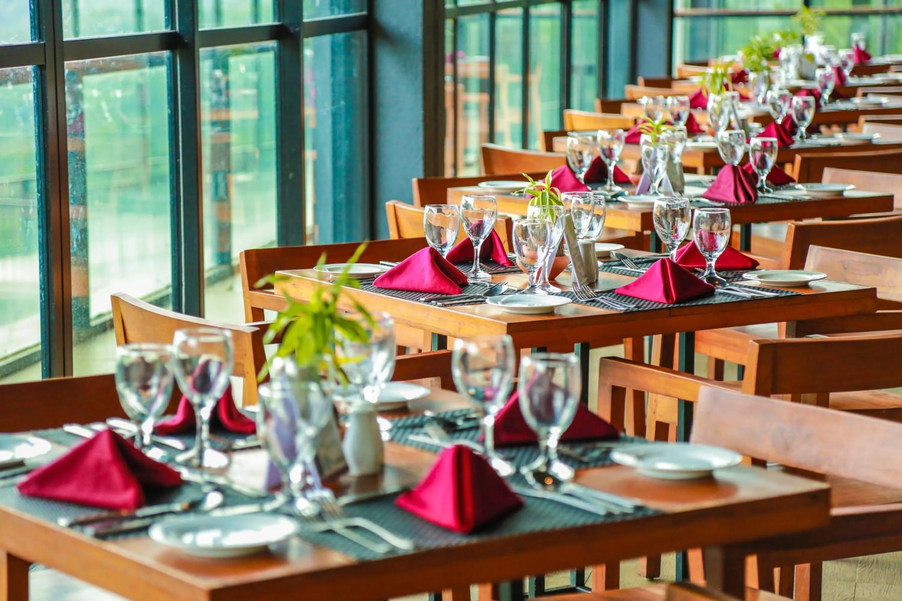 Restaurant/places to eat in Oak Ray Tea Bush