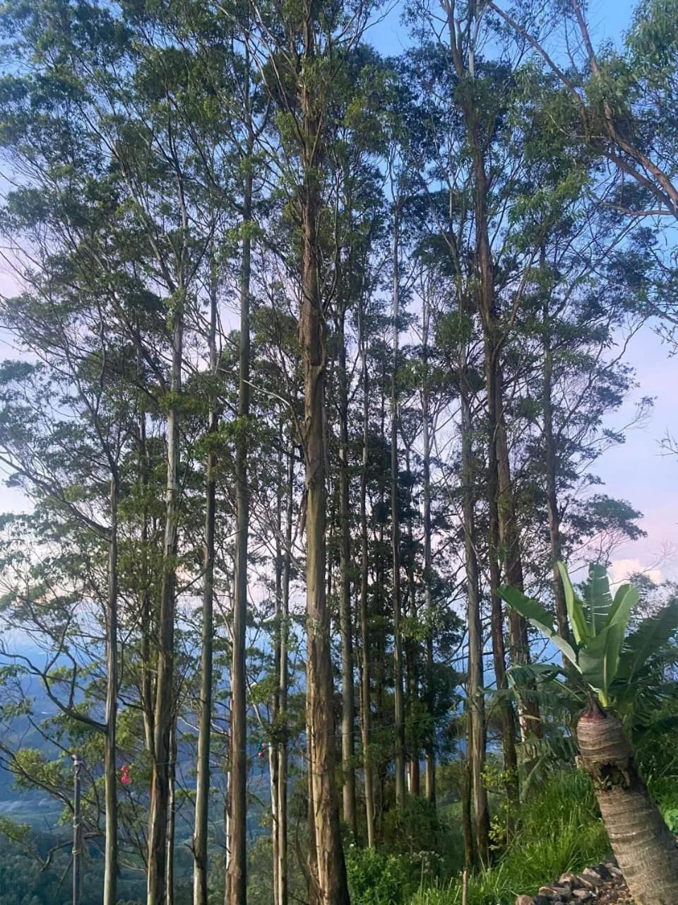 Bel View Guest House