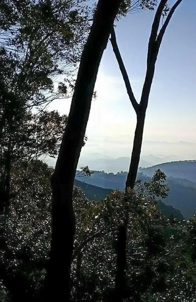 Bel View Guest House