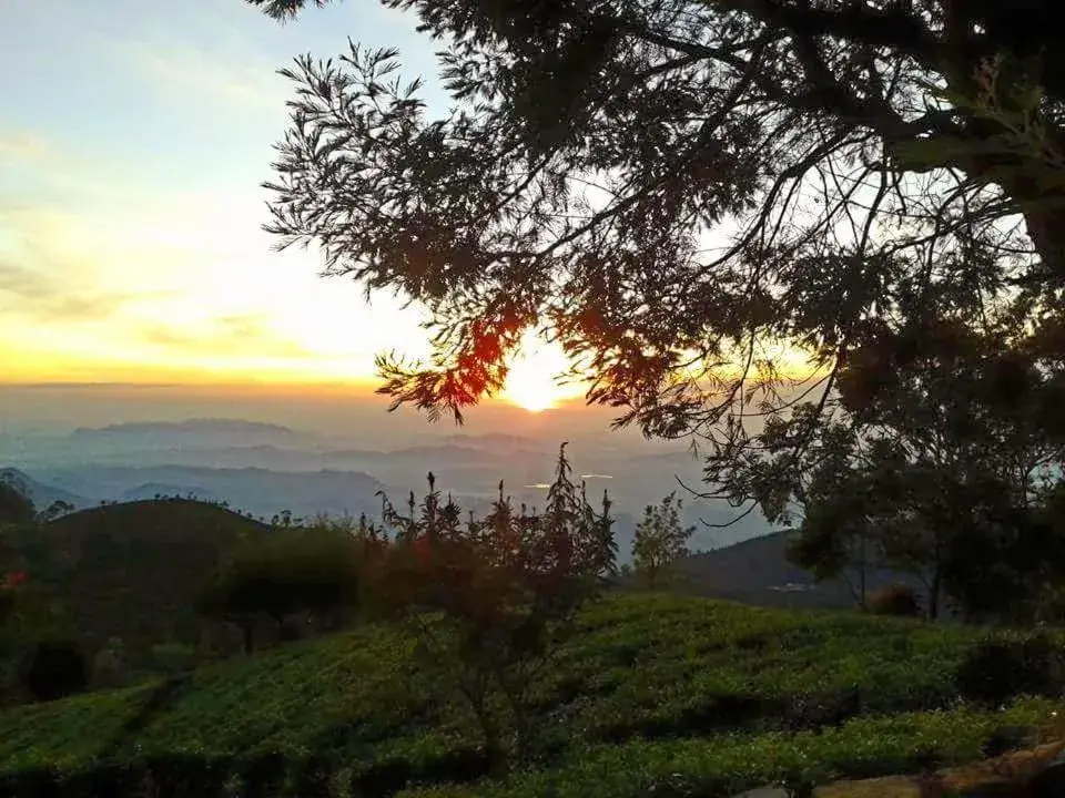 Double Room with Mountain View - single occupancy in Bel View Guest House Double Room with Mountain View - single occupancy in Bel View Guest House